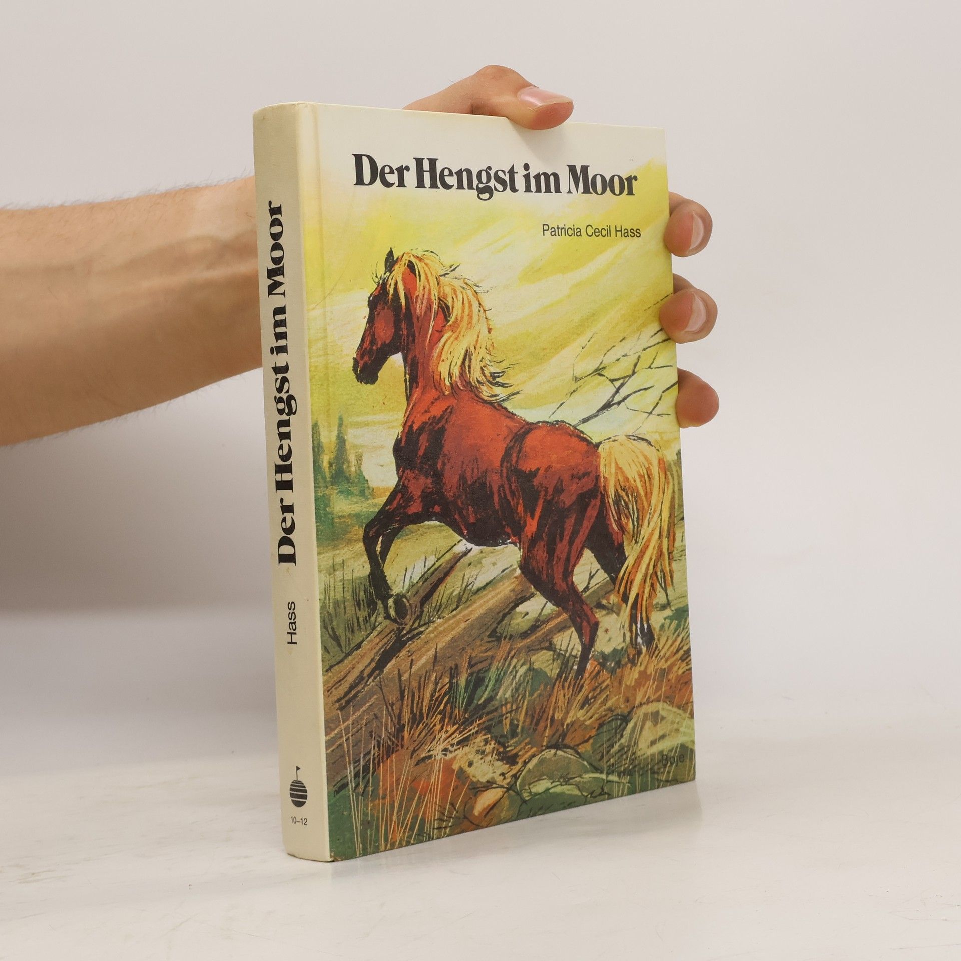 Patricia Cecil Hass Der Hengst im Moor