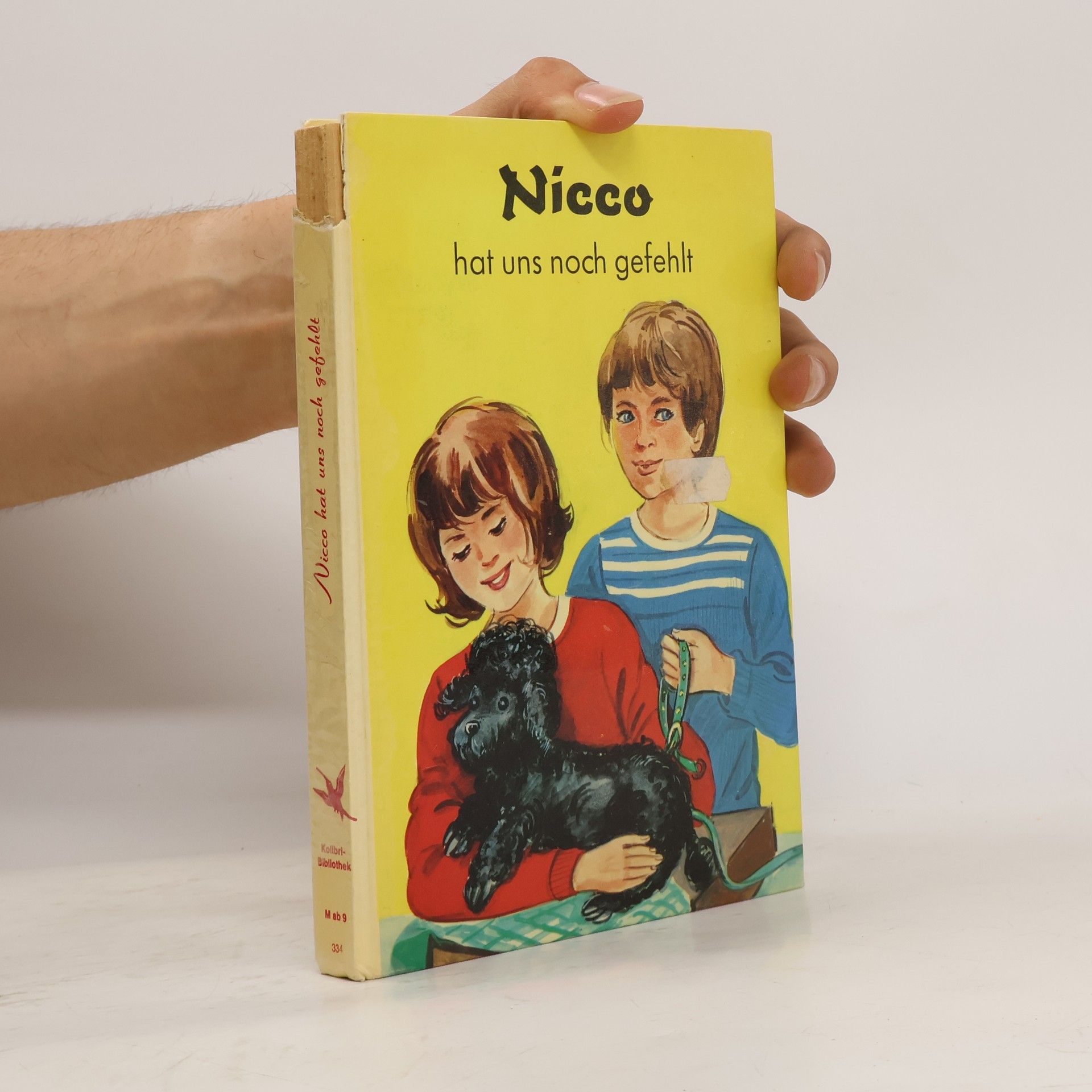 kolektiv Nicco, hat uns noch gefehlt