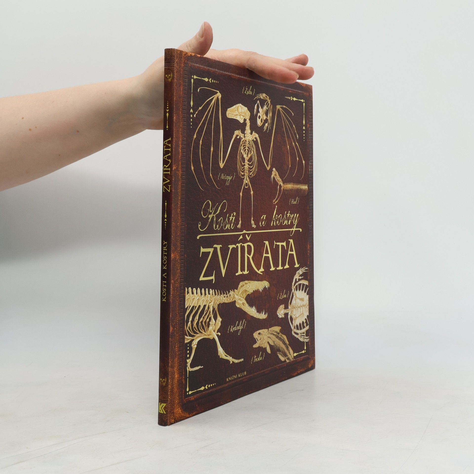 Zvířata. Kosti a kostry