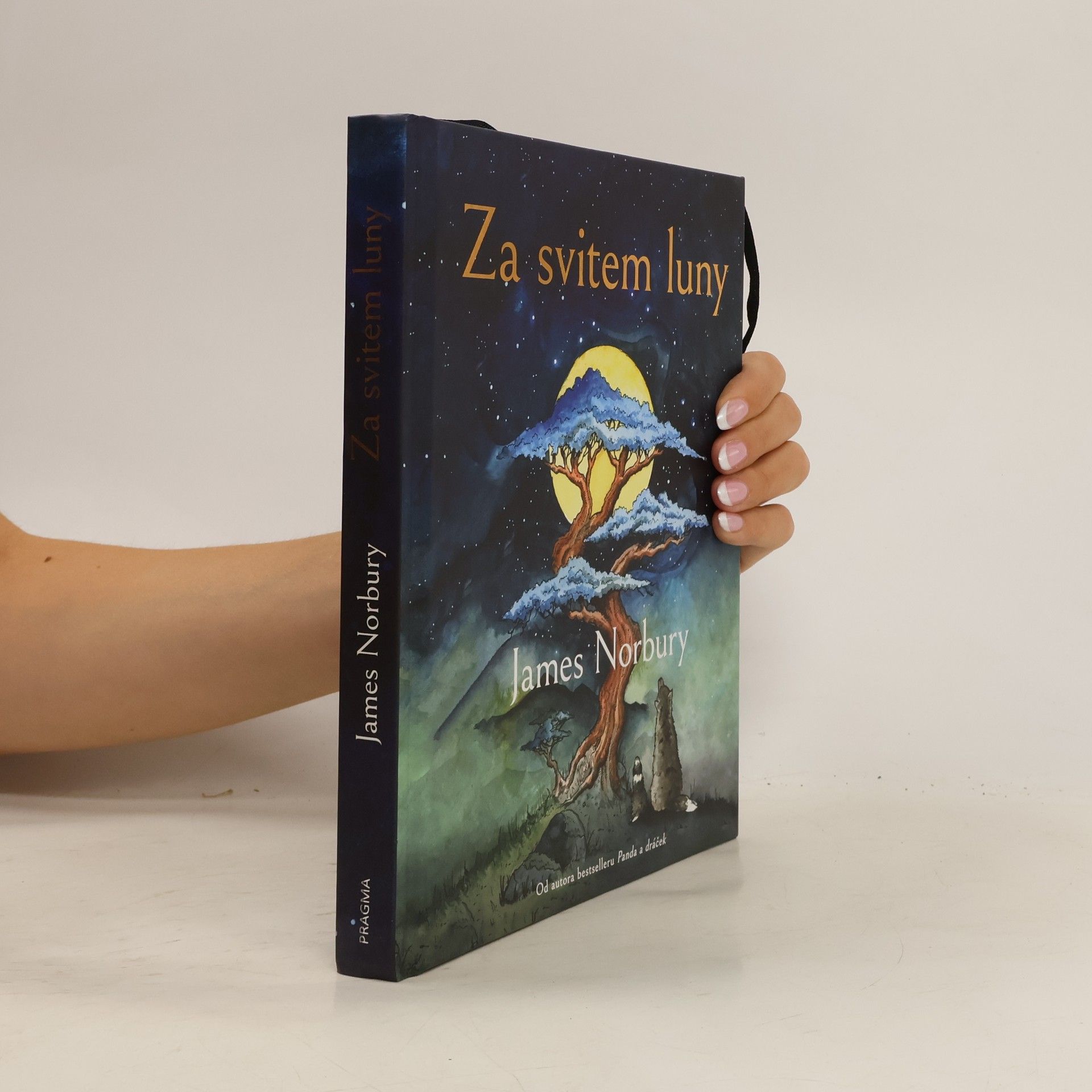 James Norbury Za svitem luny