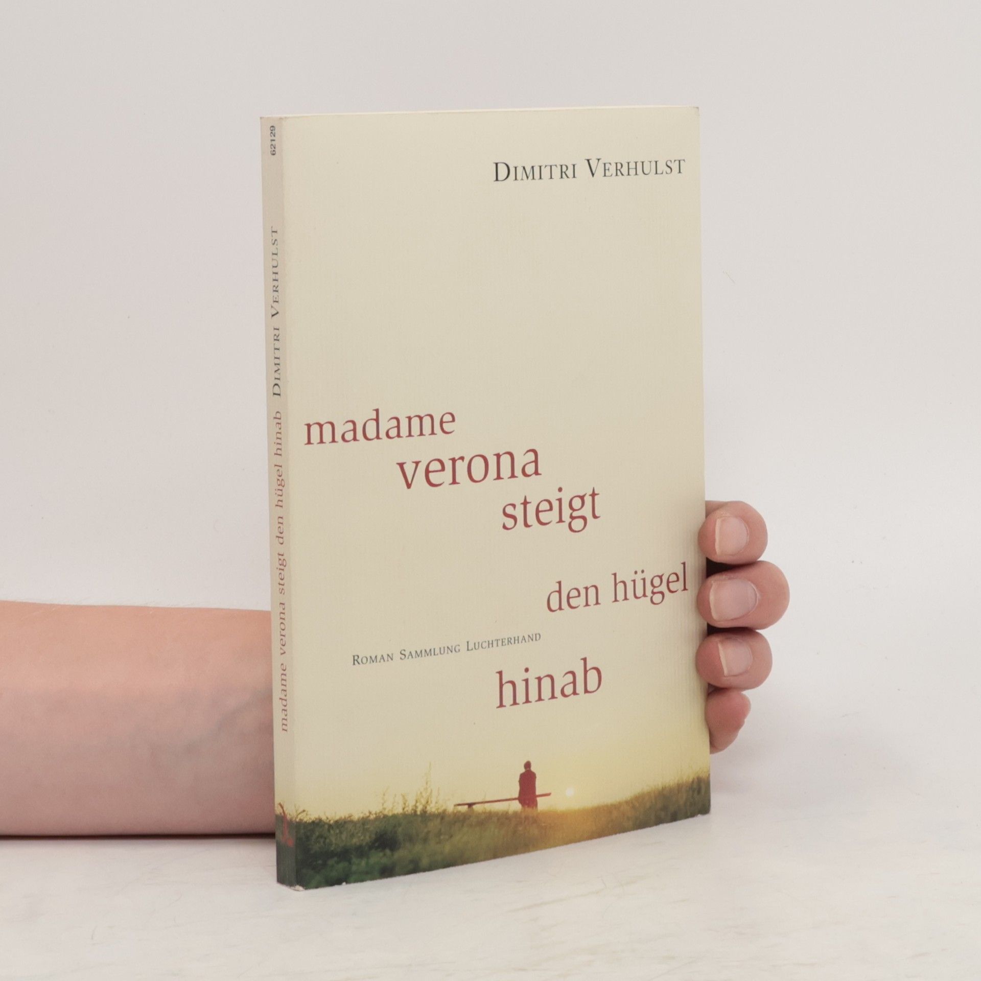 Dimitri Verhulst Madame Verona steigt den Hügel hinab