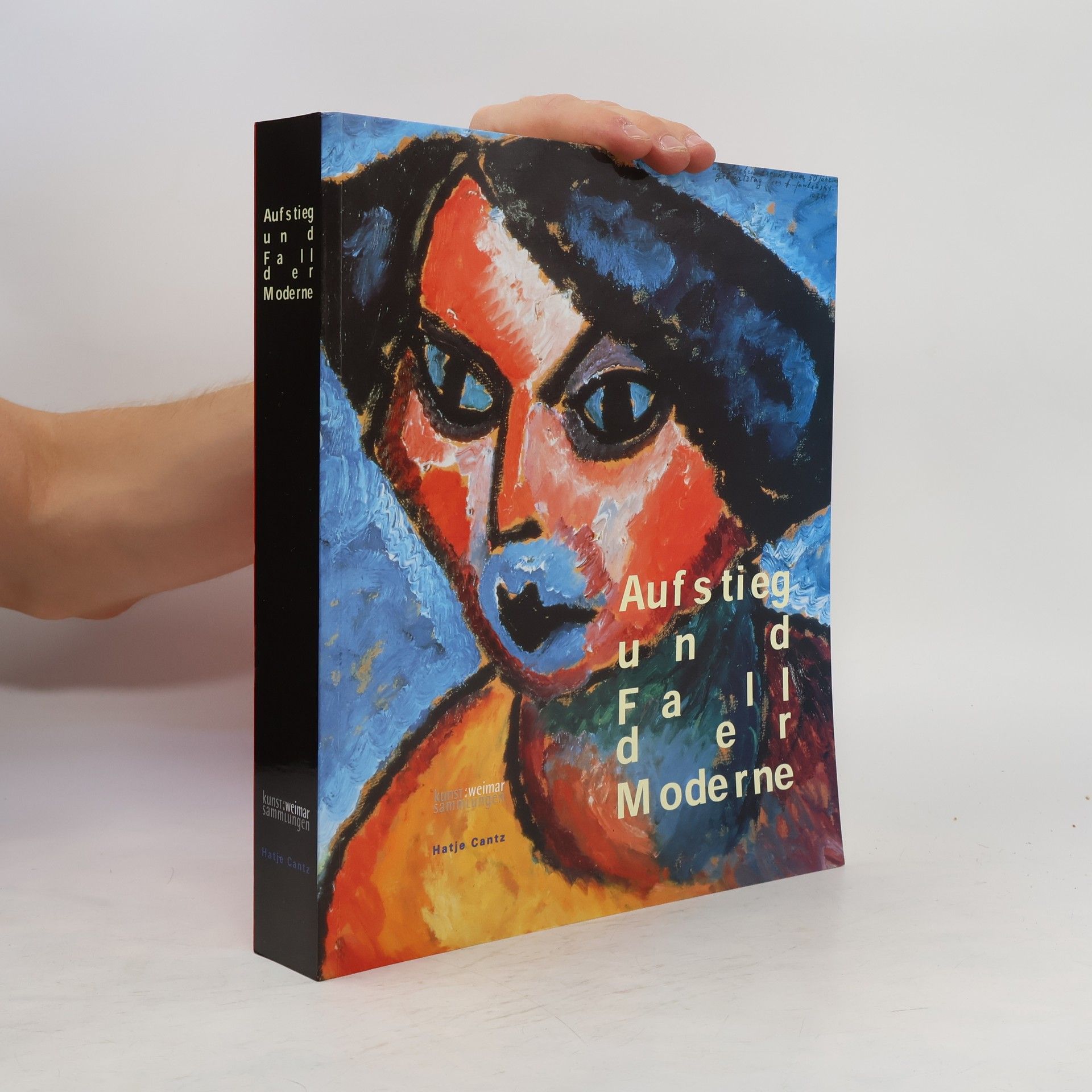 Rolf Bothe Aufstieg und Fall der Moderne