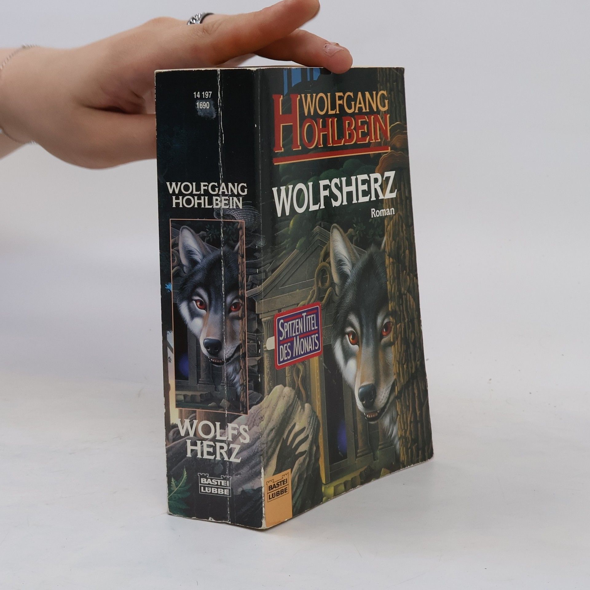 Wolfgang Hohlbein Wolfsherz