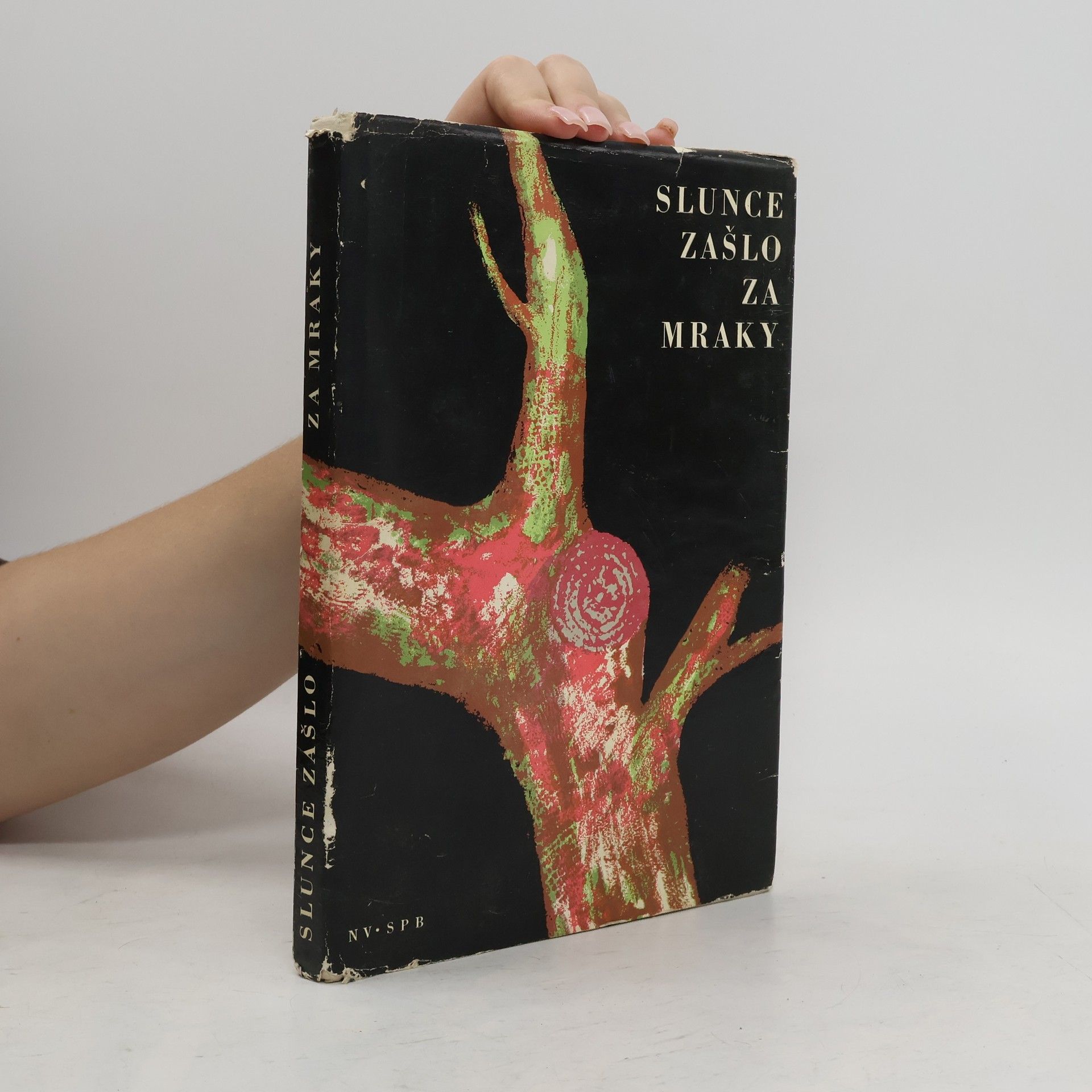 Miroslav Ivanov Slunce zašlo za mraky