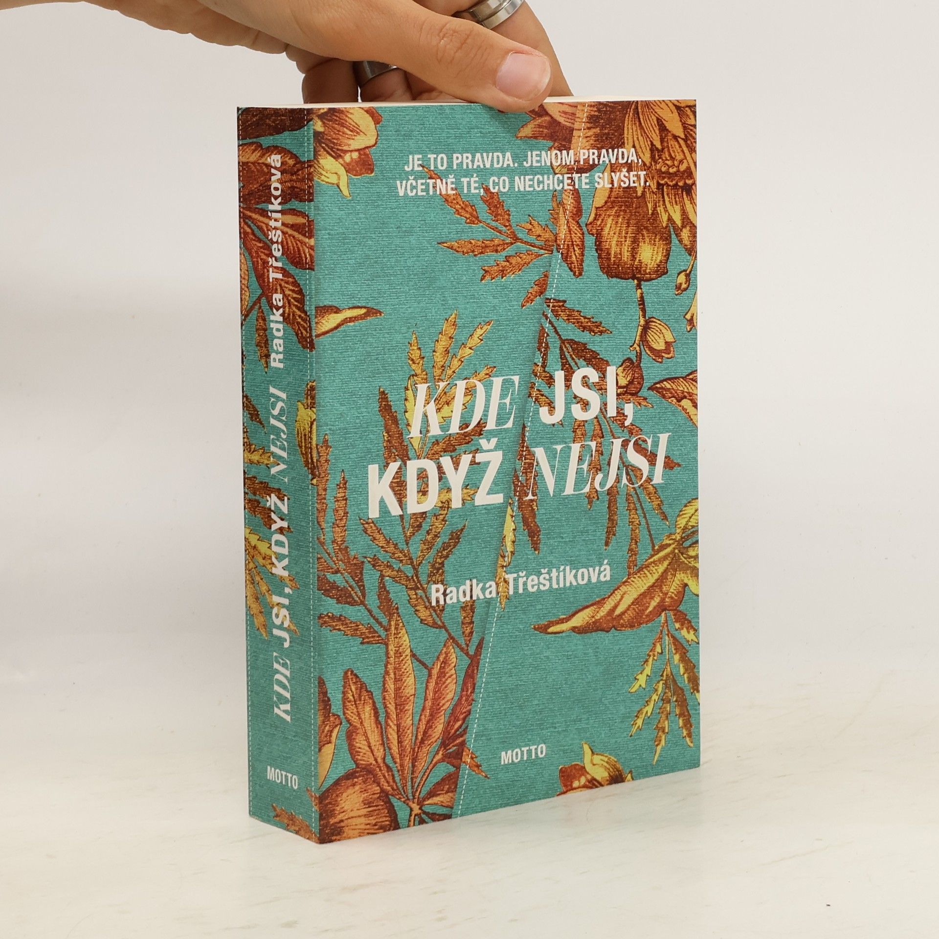 Radka Třeštíková Kde jsi, když nejsi