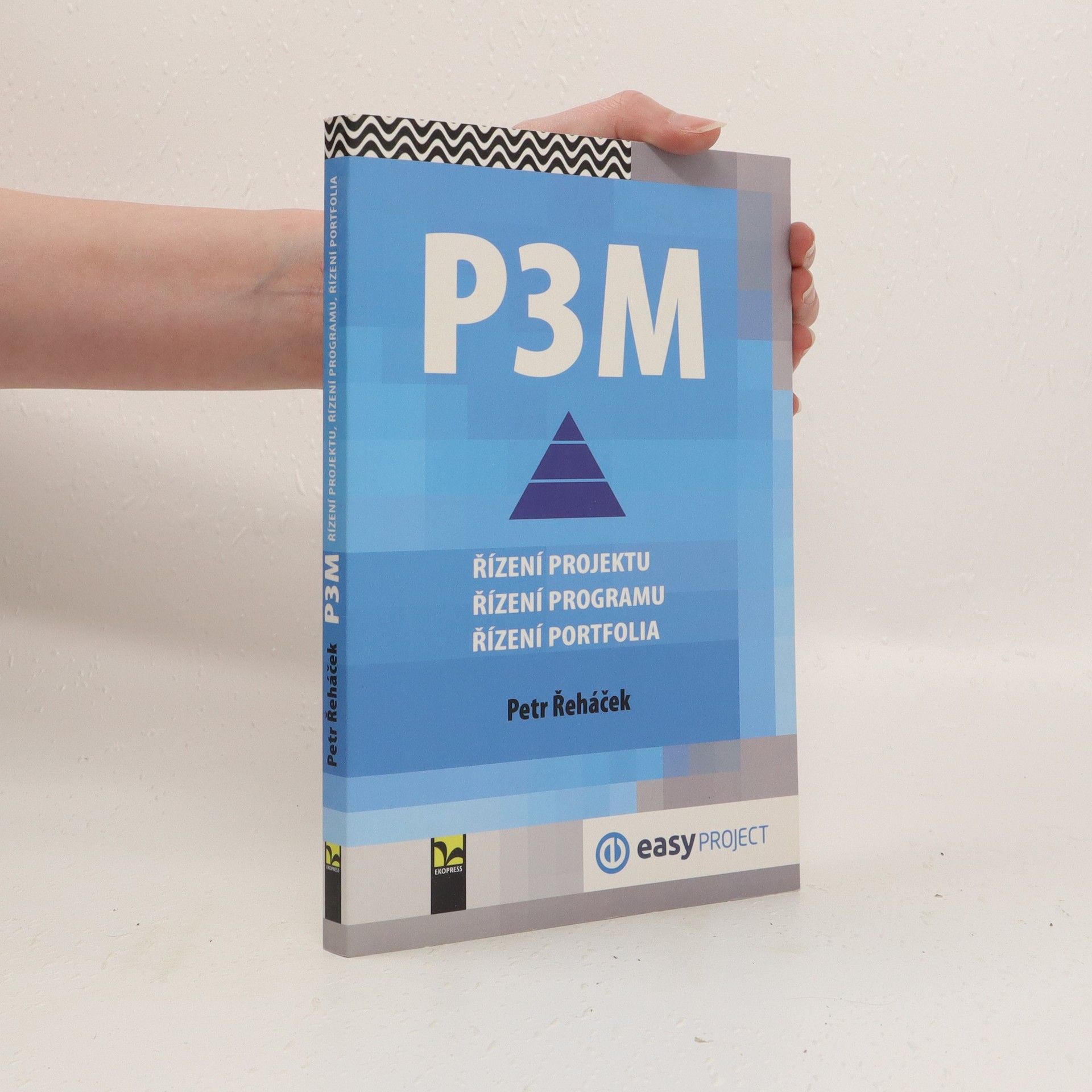 Petr Řeháček P3M - řízení projektu, řízení programu, řízení portfolia