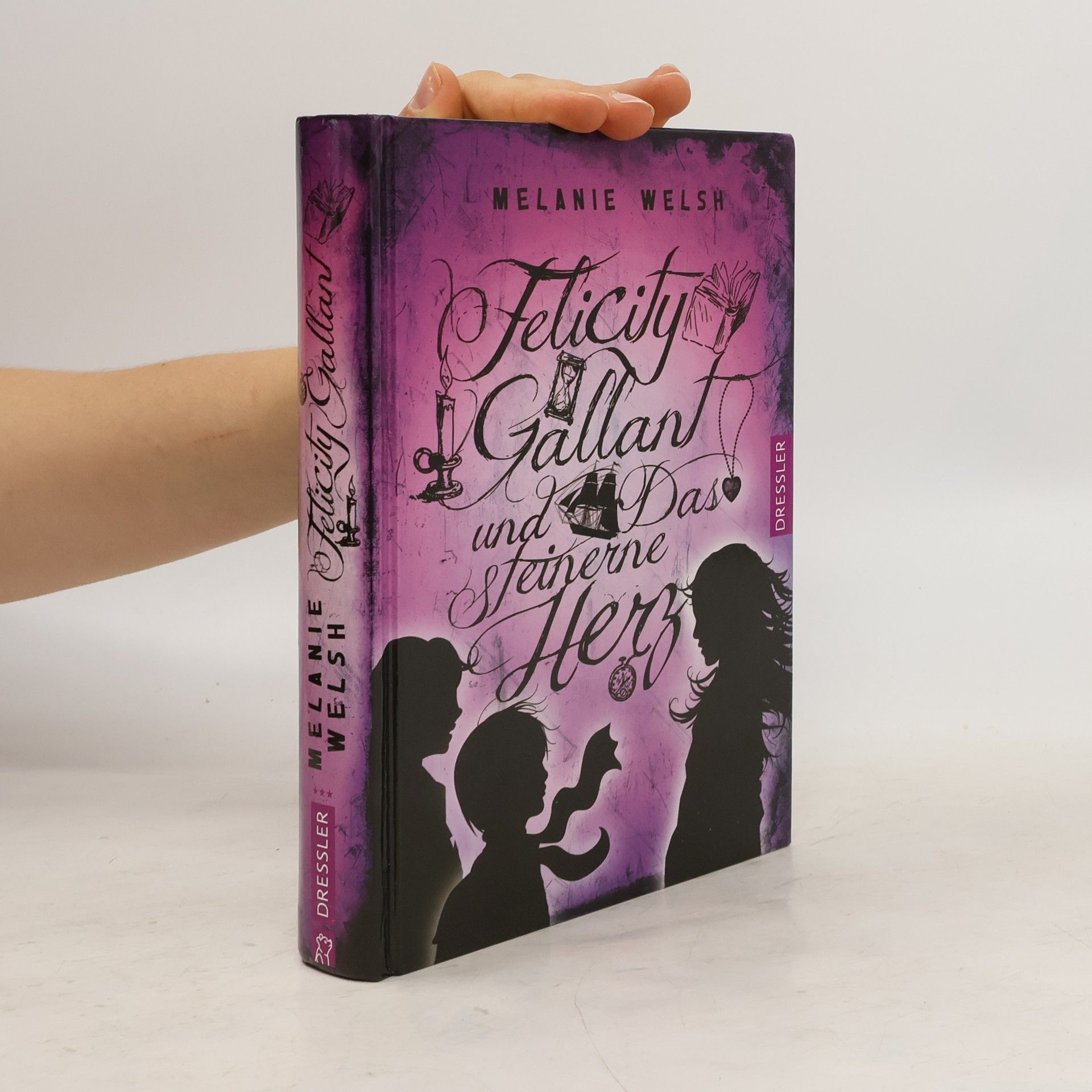 Melanie Welsh Felicity Gallant und das steinerne Herz