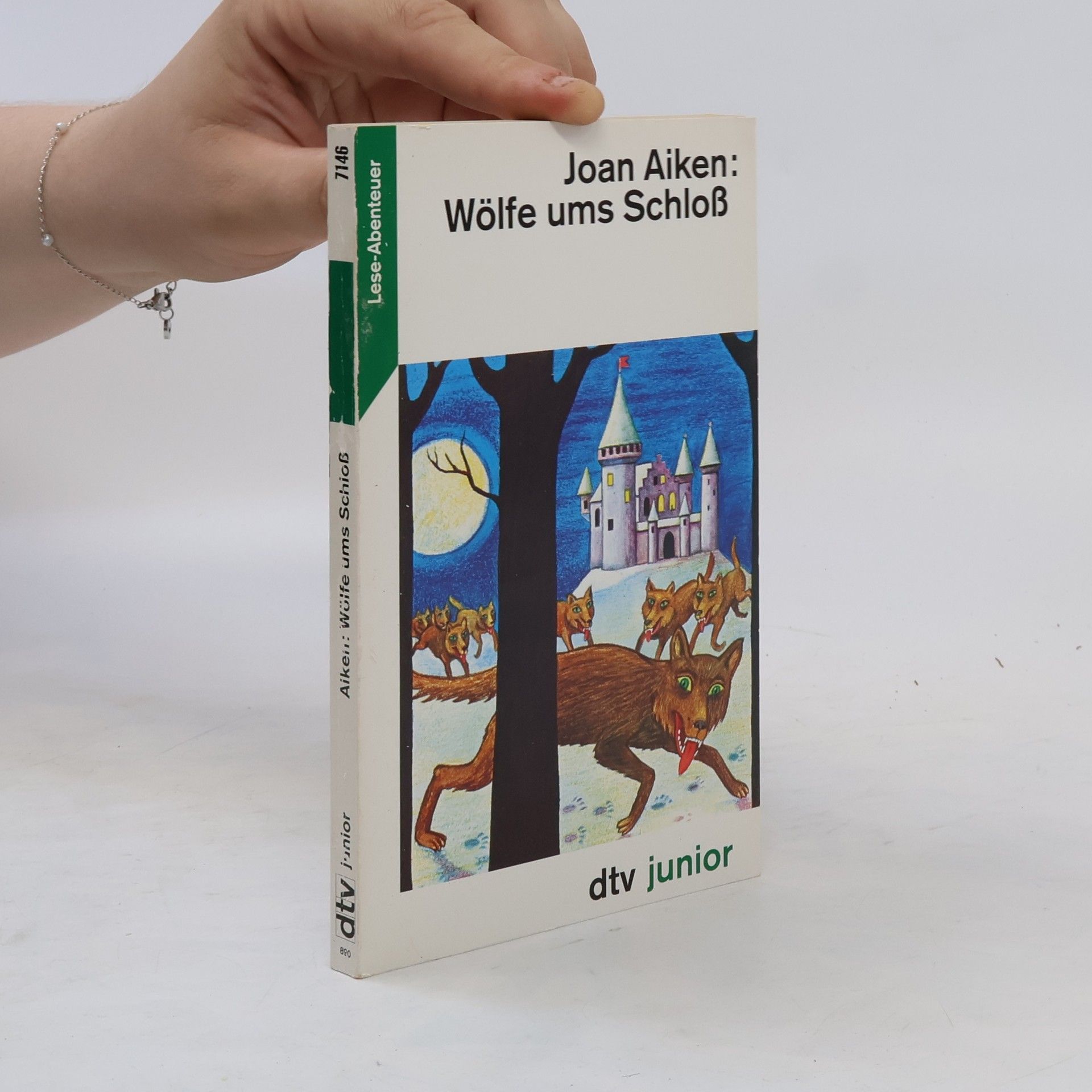 Joan Aiken Wölfe ums Schloss