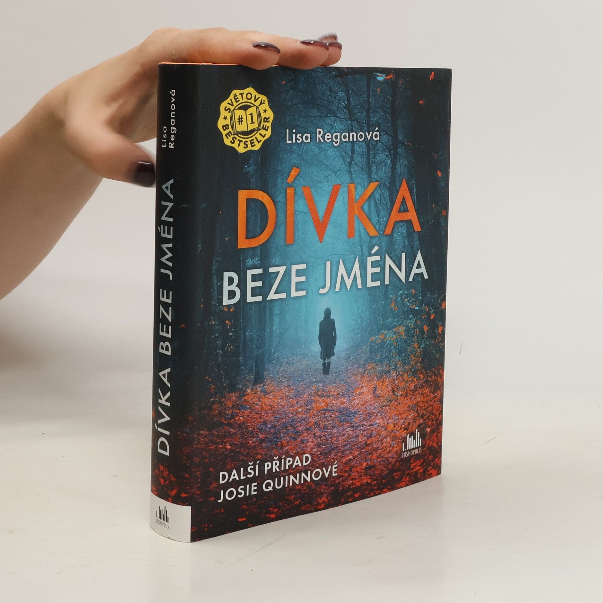 Lisa Regan Dívka beze jména: Další případ Josie Quinnové