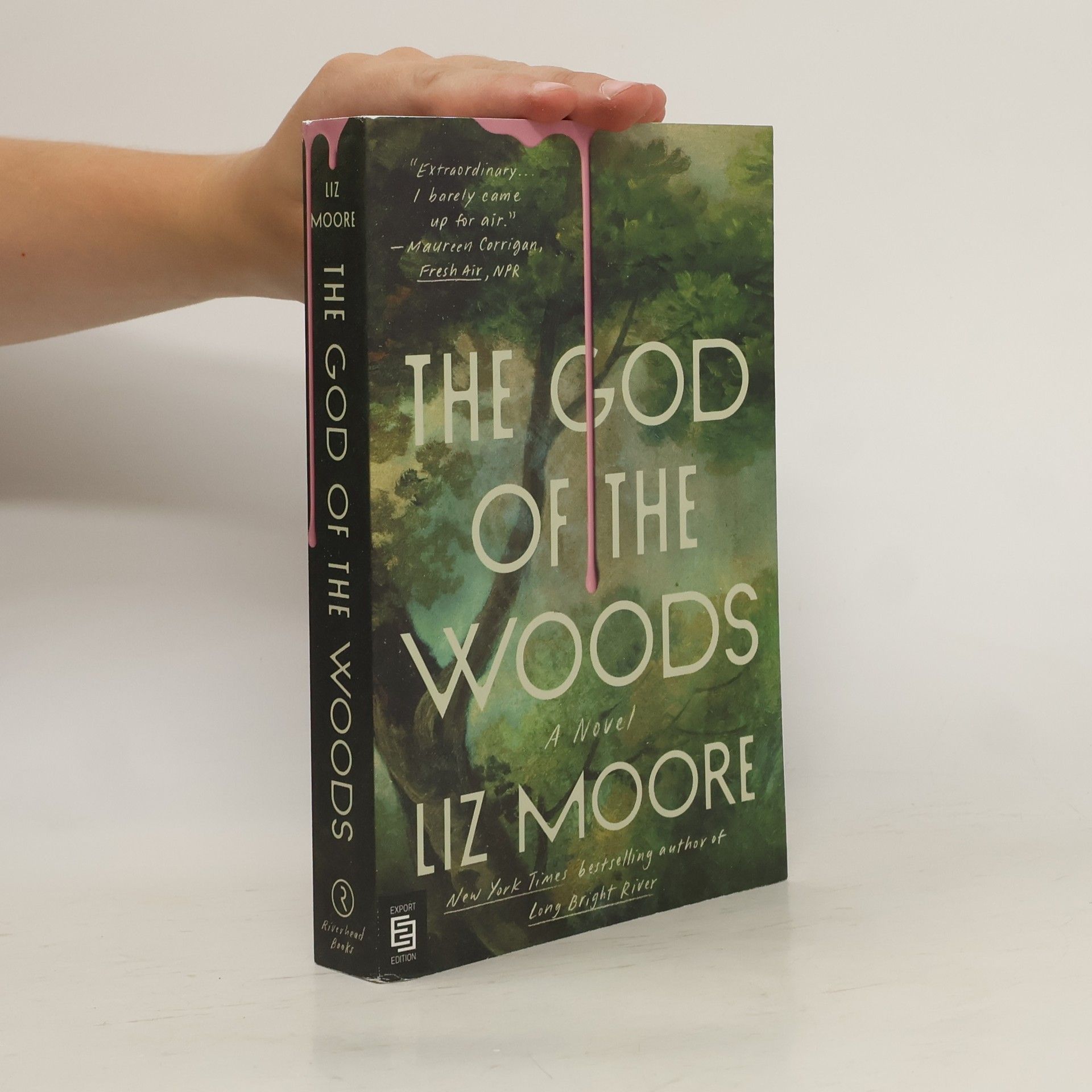 Liz Moore The God of the Woods