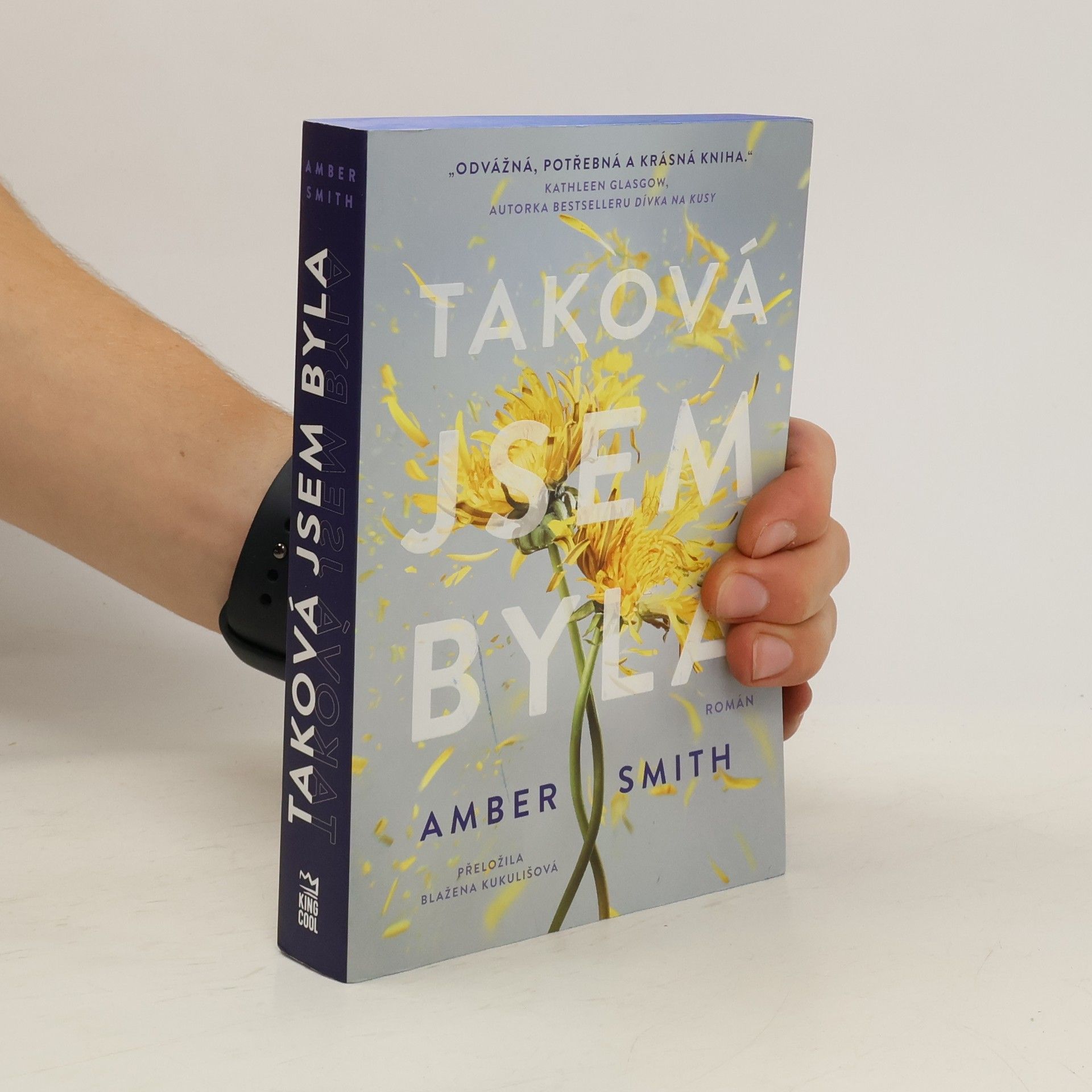 Amber Smith Taková jsem byla