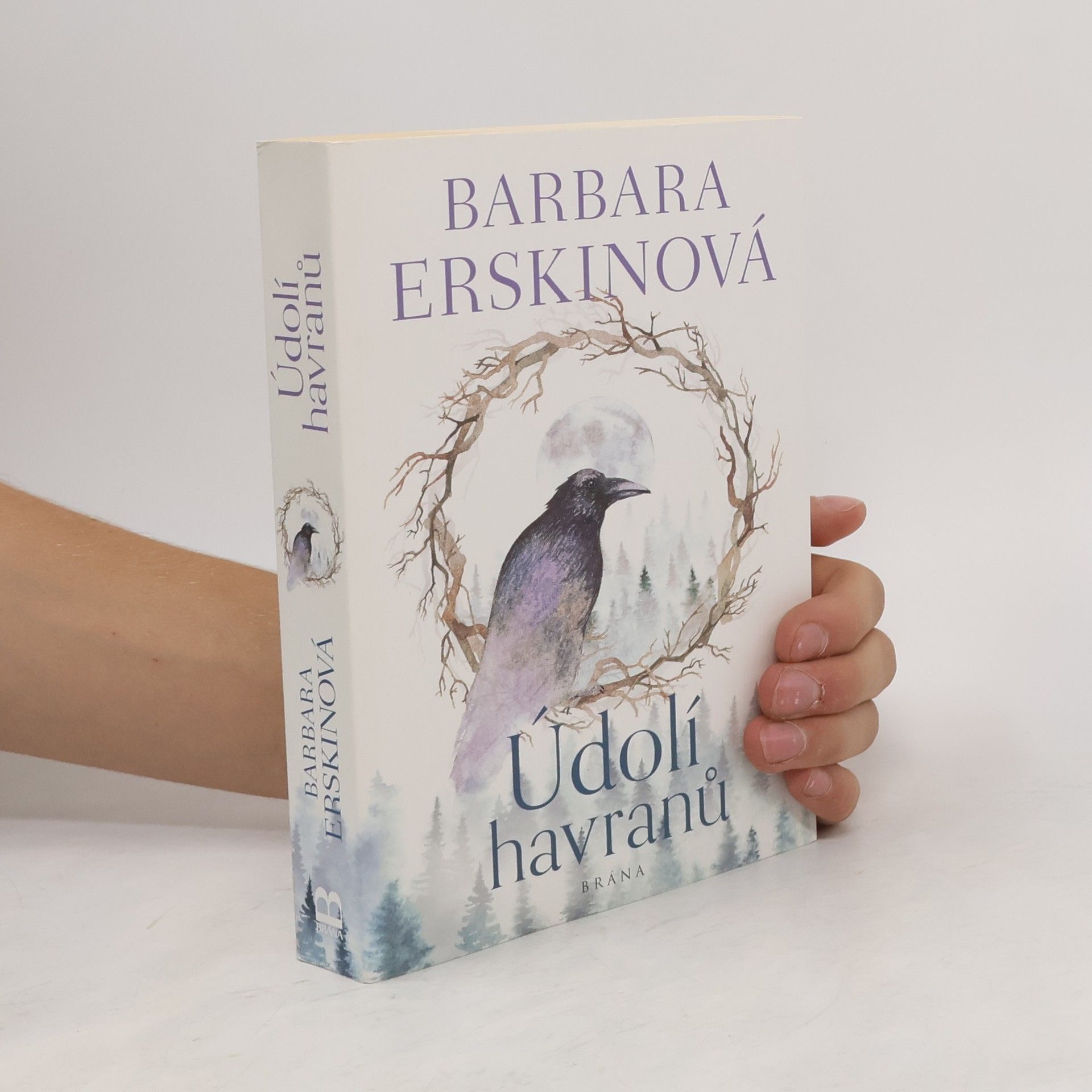 Barbara Erskinová Údolí havranů
