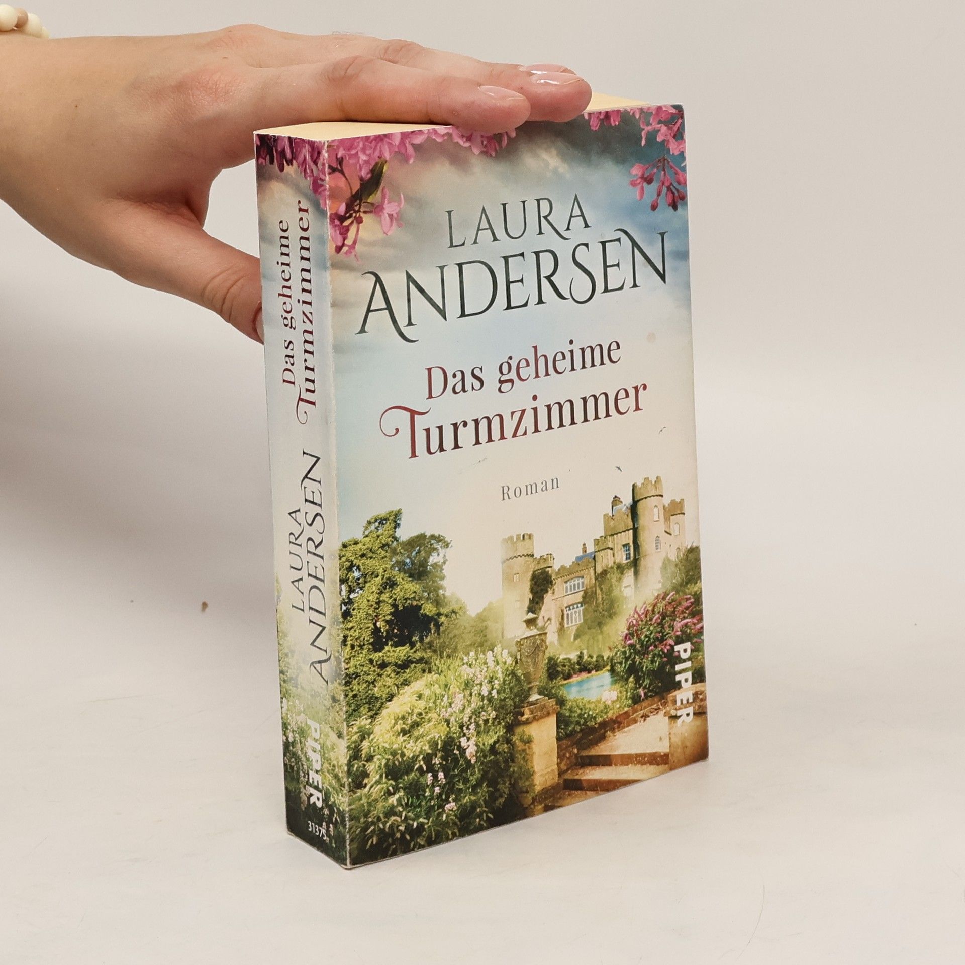 Laura Andersen Das geheime Turmzimmer