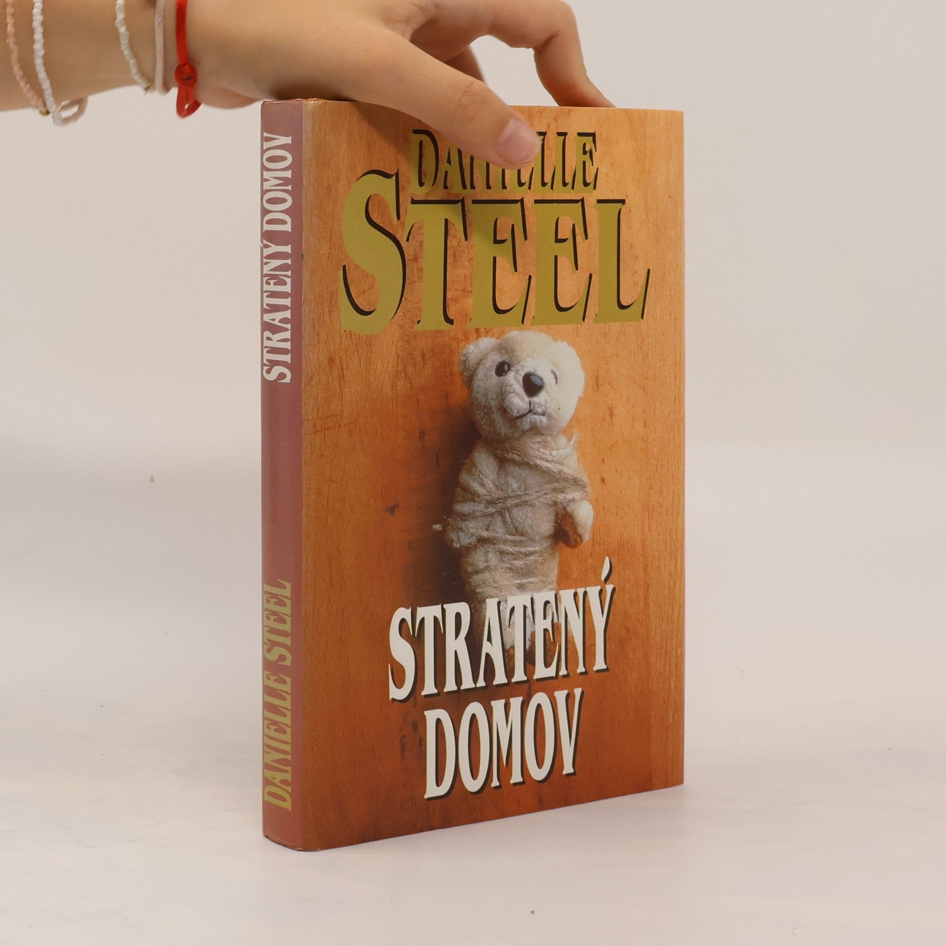 Danielle Steel Stratený domov