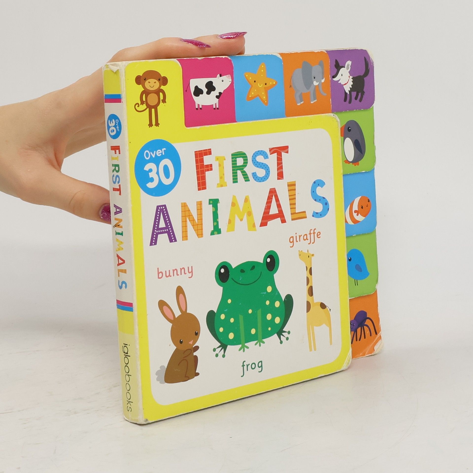 kolektiv Over 30 First Animals