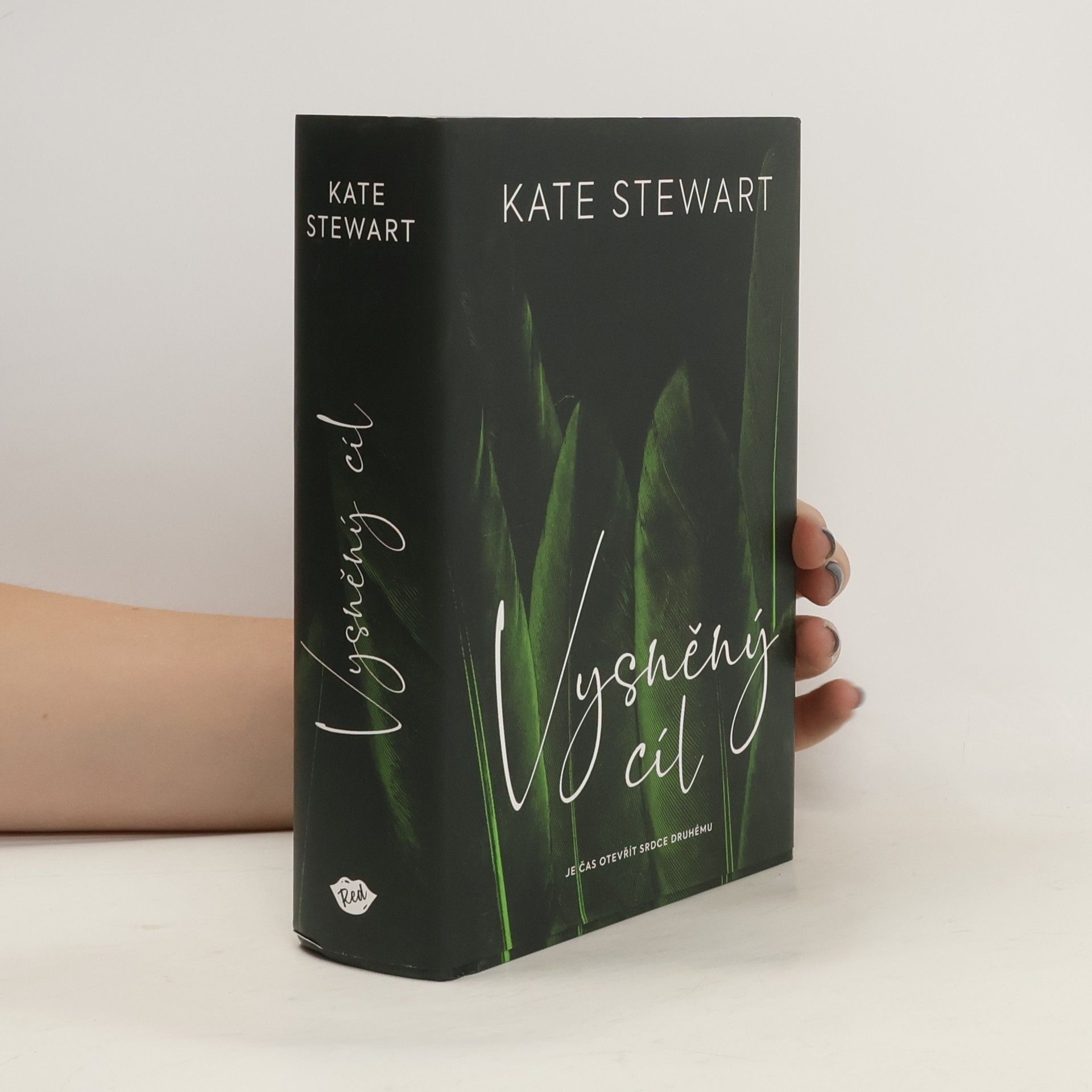 Kate Stewart Vysněný cíl. Kniha třetí