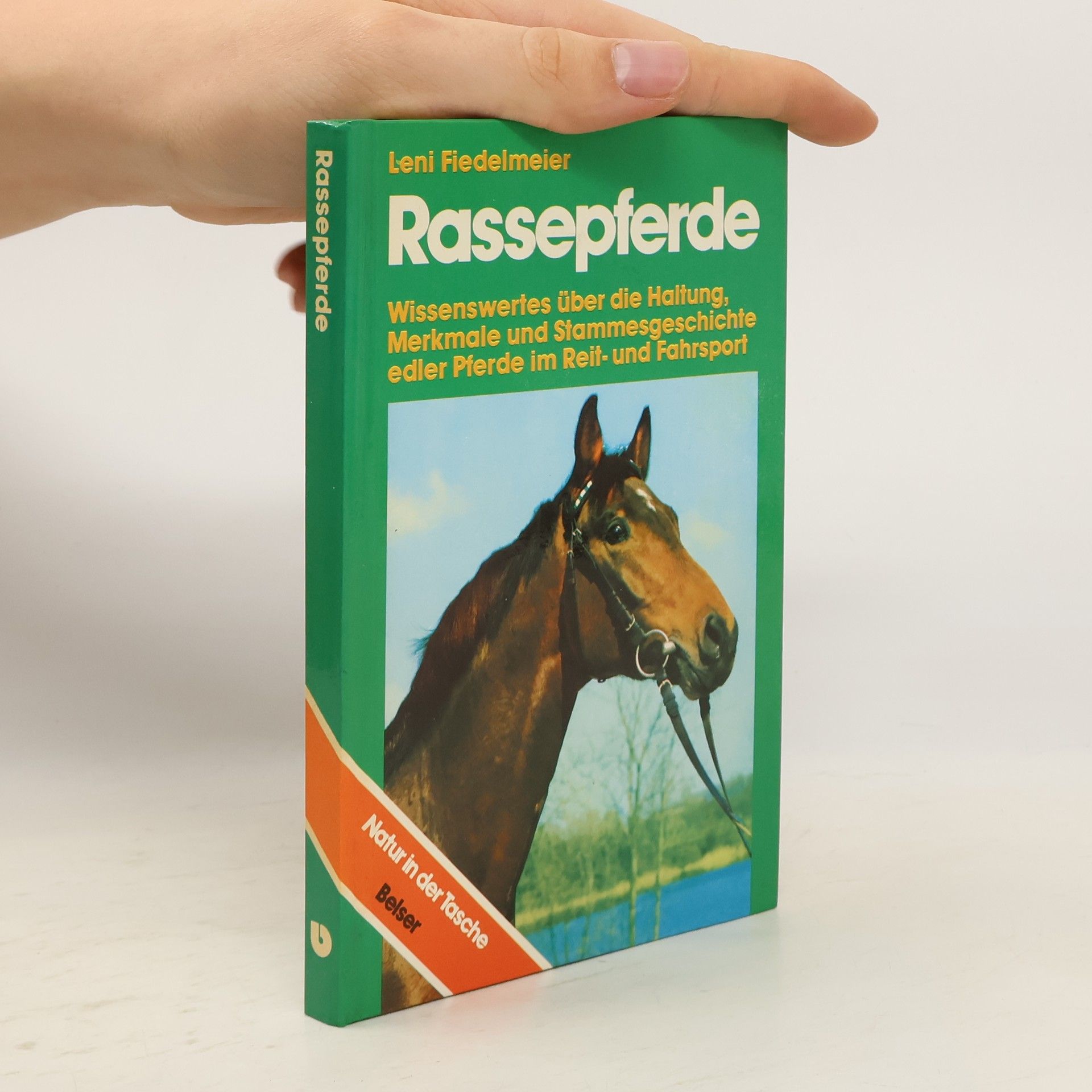 Leni Fiedelmeier Rassepferde