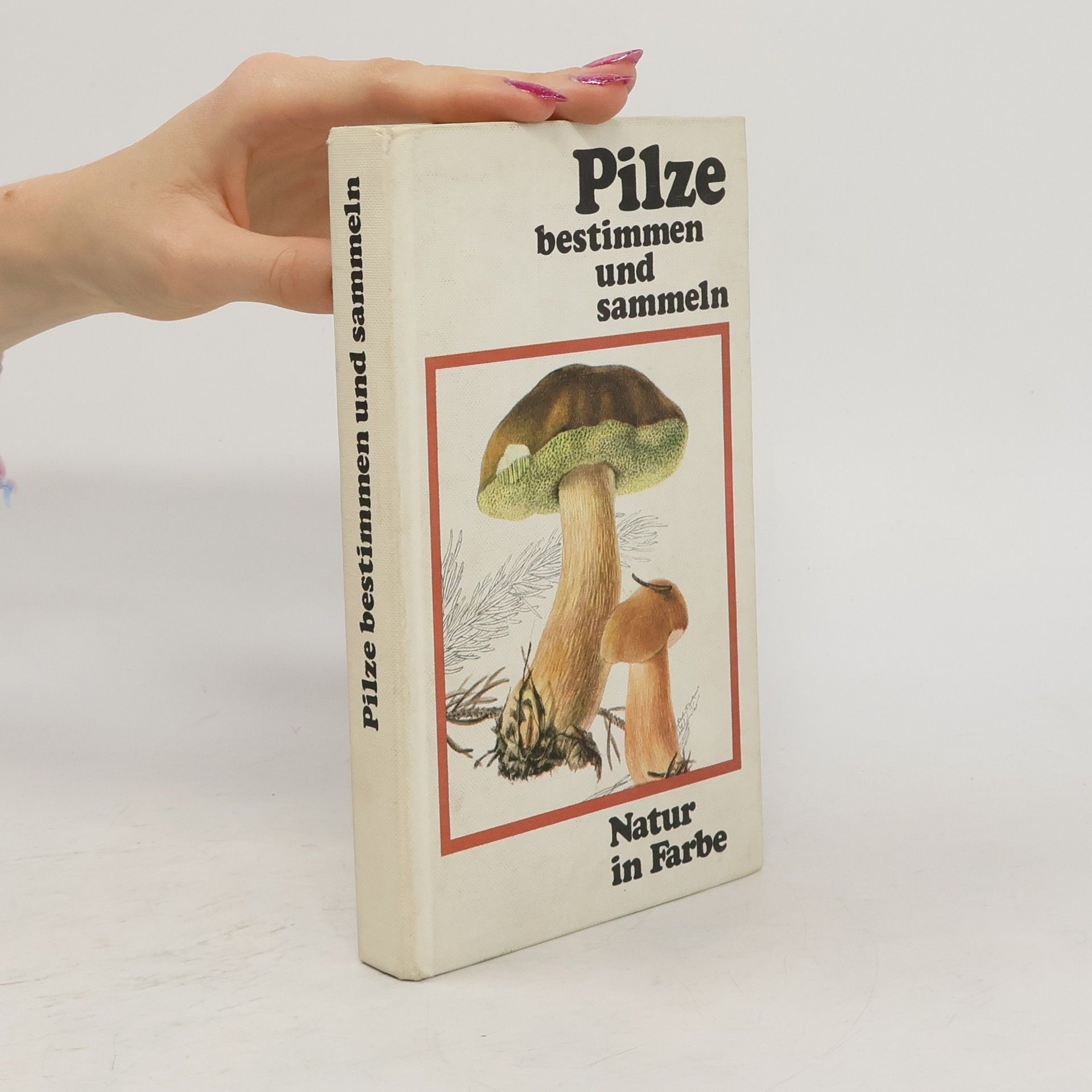 Vančura Pilze bestimmen und sammeln