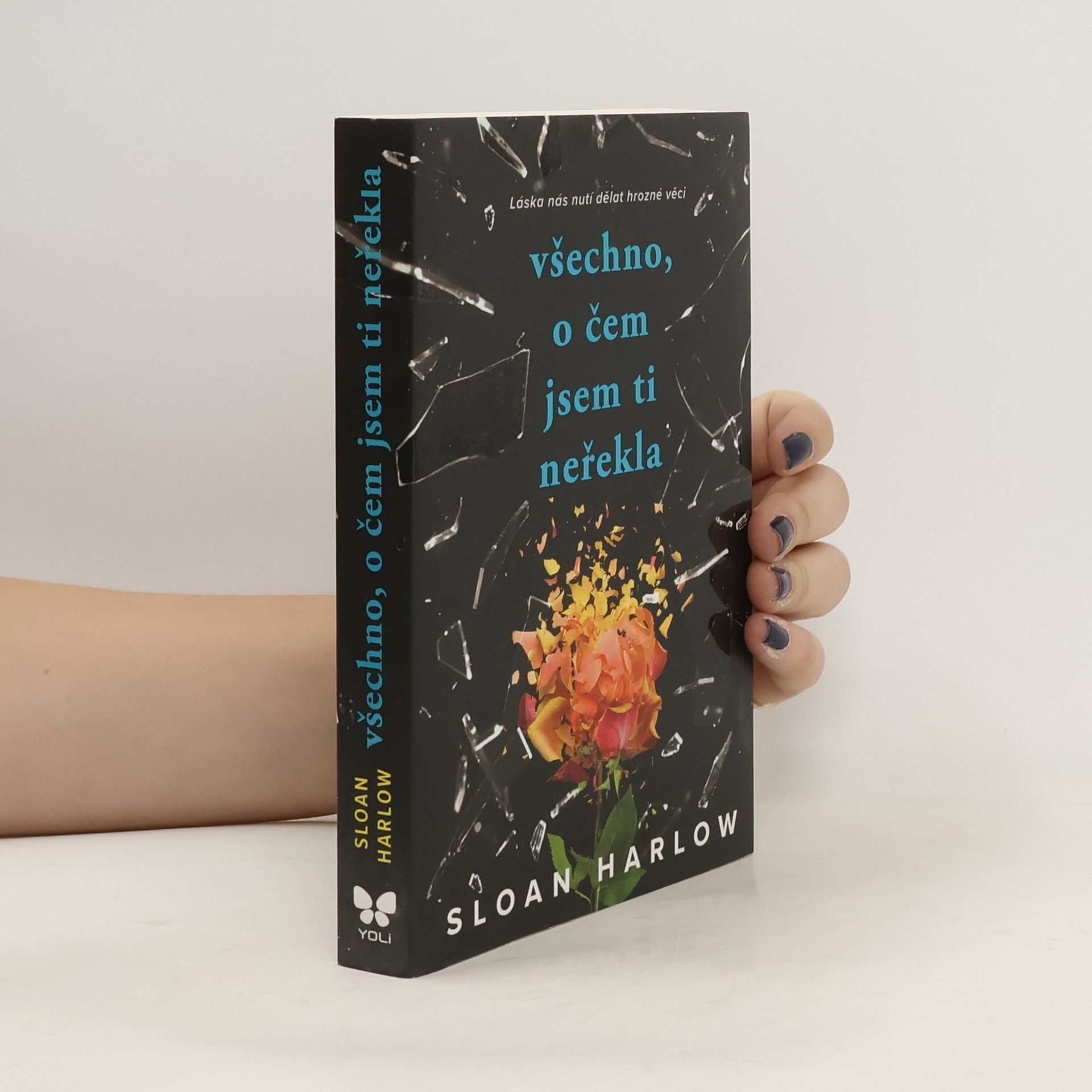 Sloan Harlow Všechno, o čem jsem ti neřekla