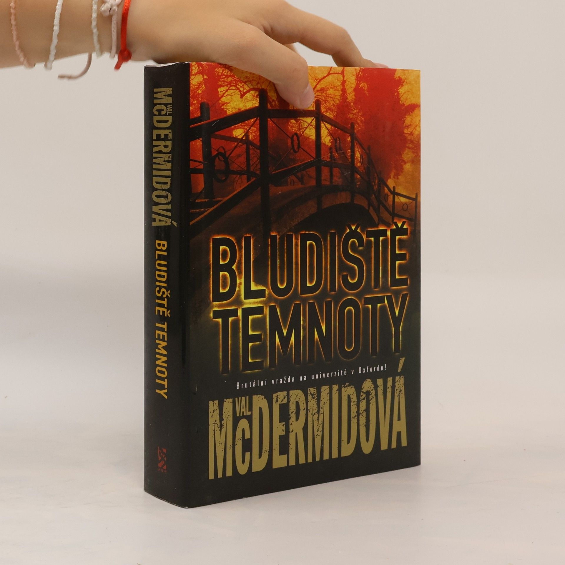 Val McDermid Bludiště temnoty