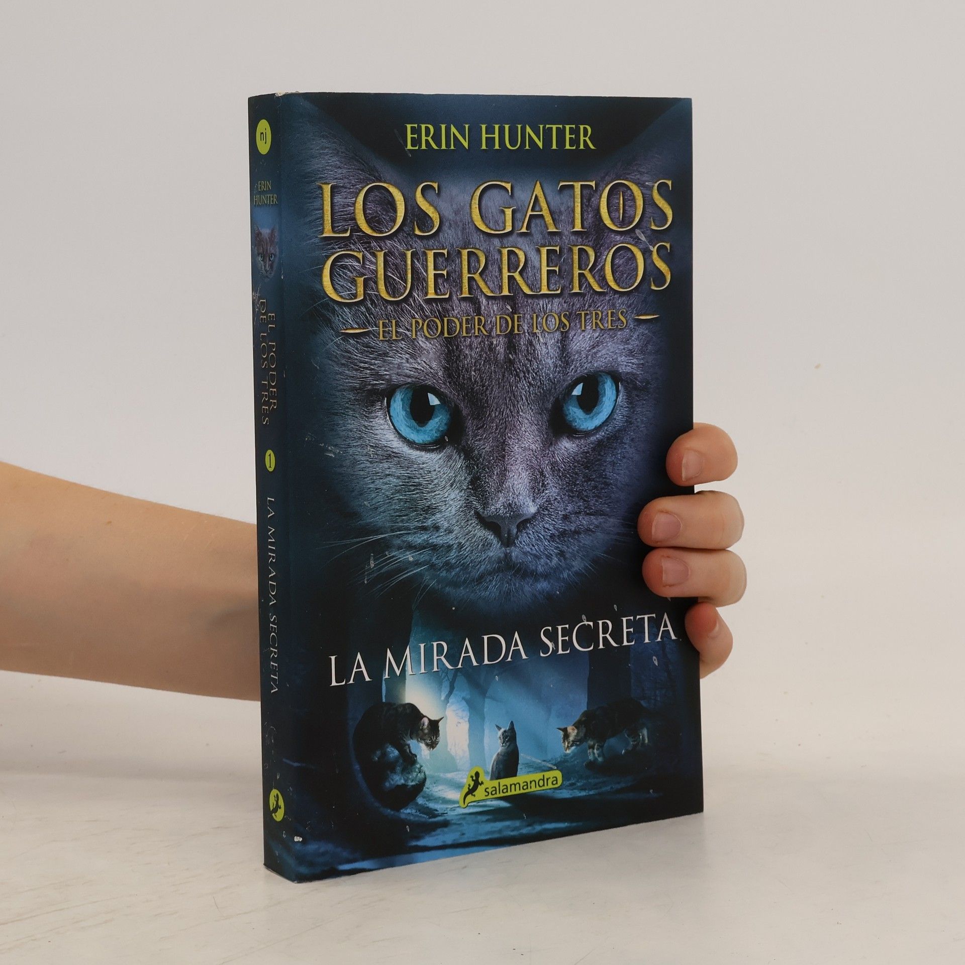 Erin Hunter La mirada secreta