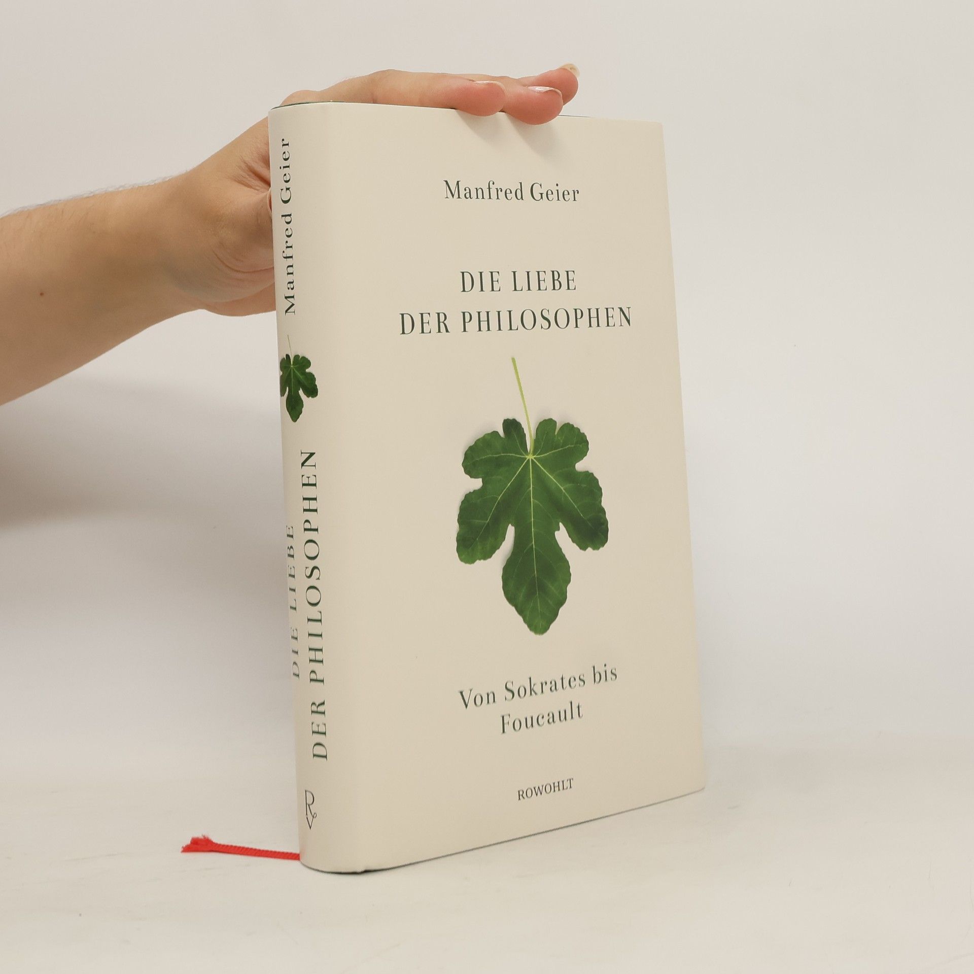 Manfred Geier Die Liebe der Philosophen: von Sokrates bis Foucault