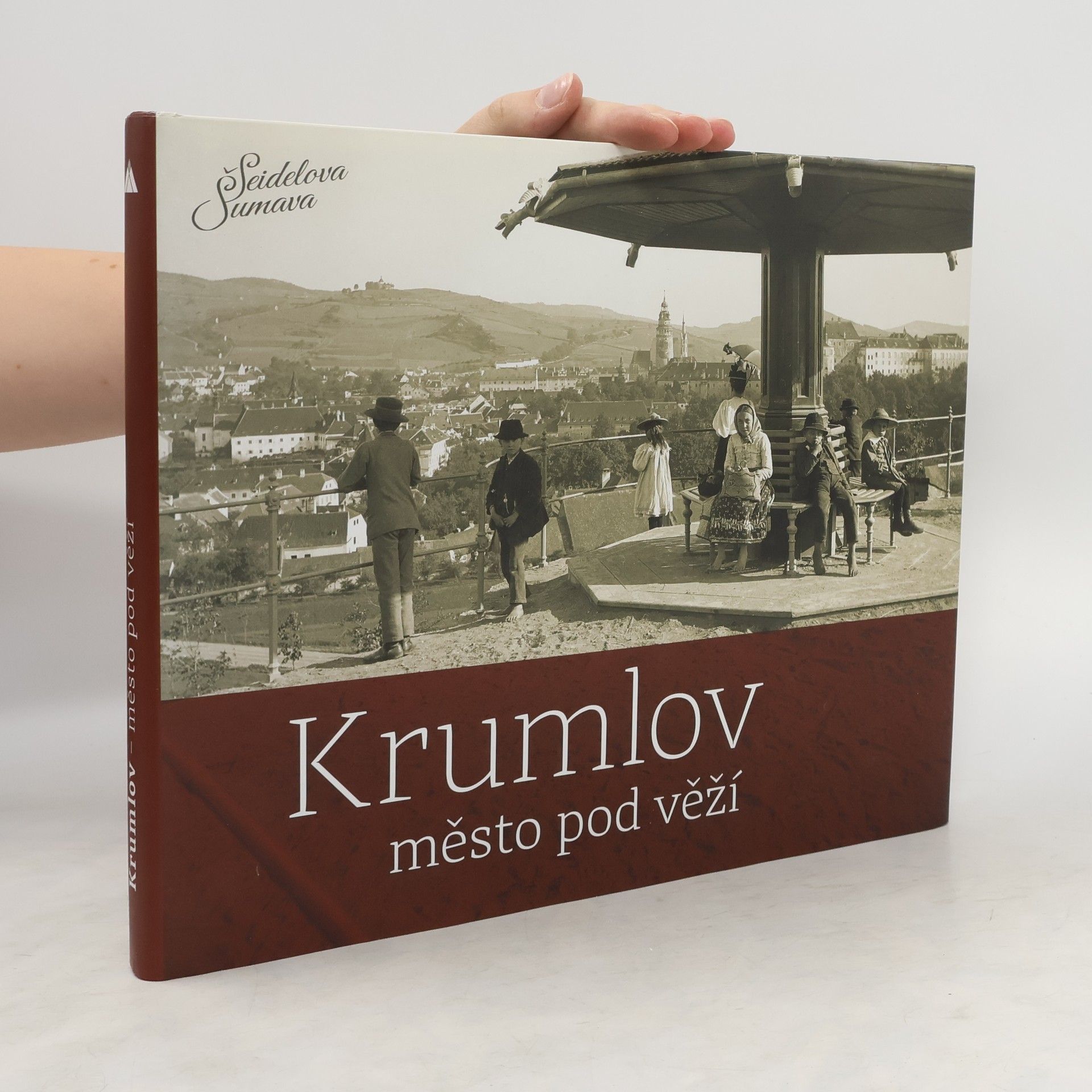Petr Hudičák Krumlov, město pod věží