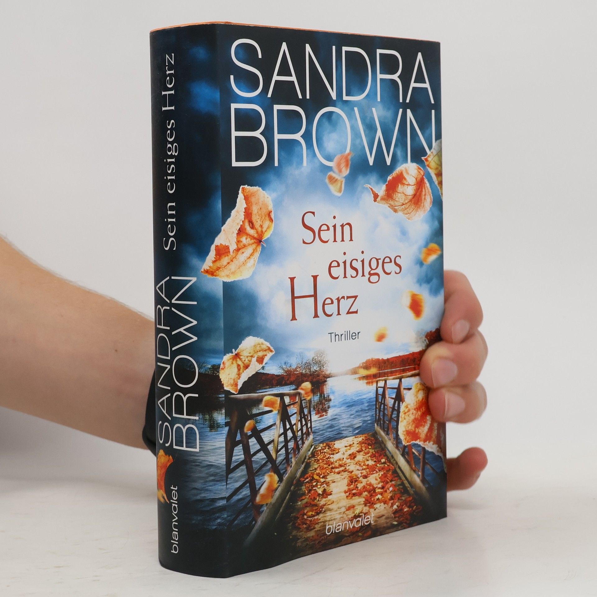 Sandra Brown Sein eisiges Herz