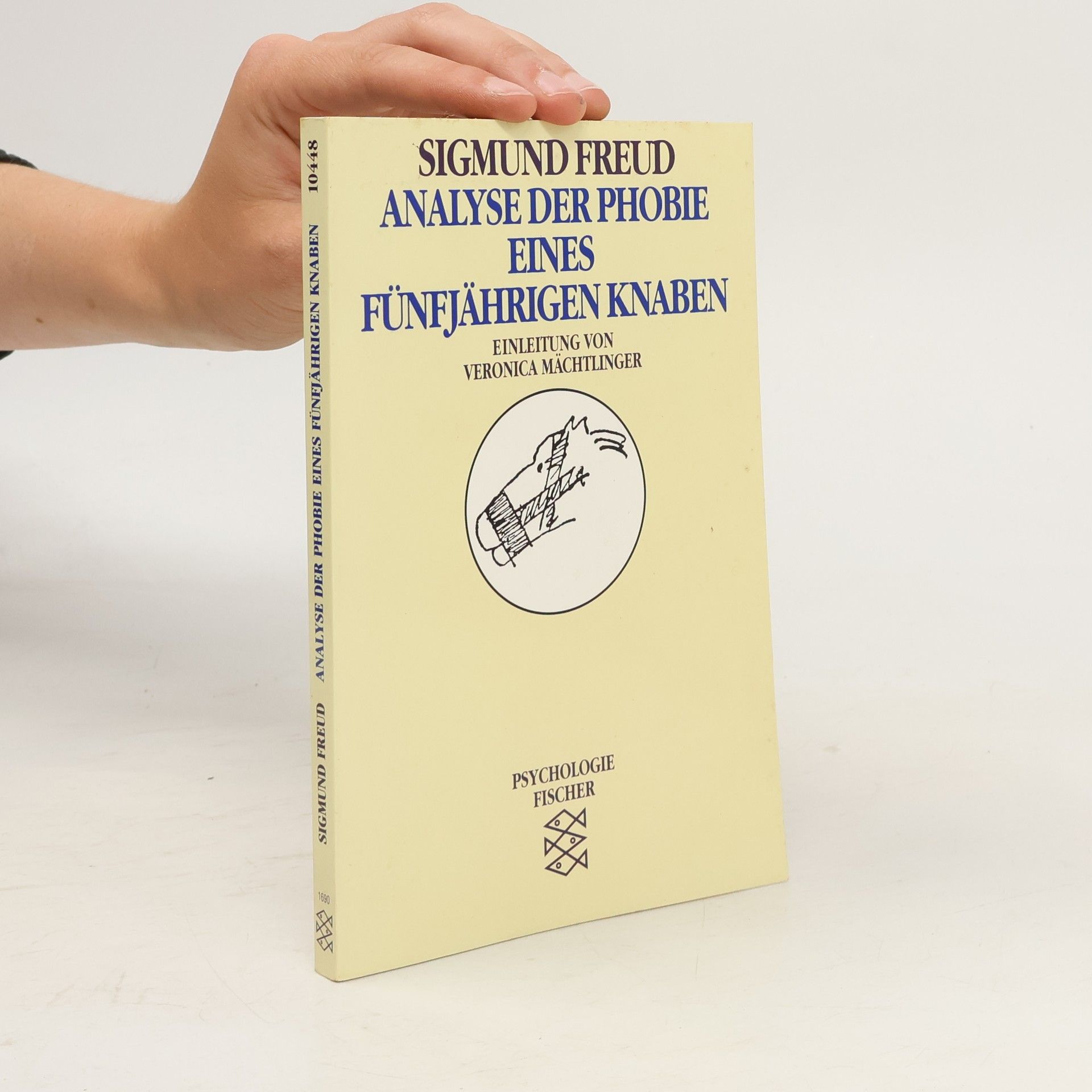 Sigmund Freud Analyse der Phobie eines fünfjährigen Knaben