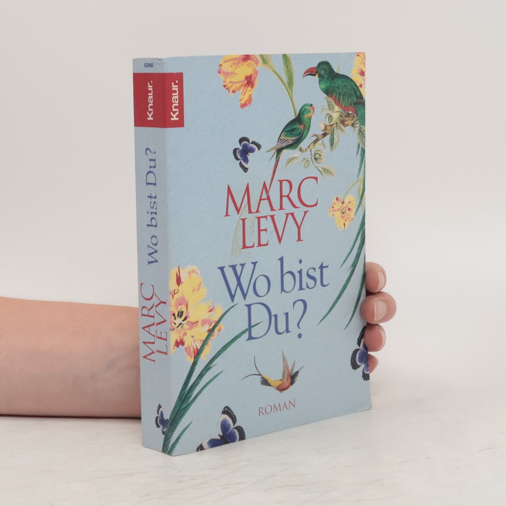 Marc Levy Wo bist Du?
