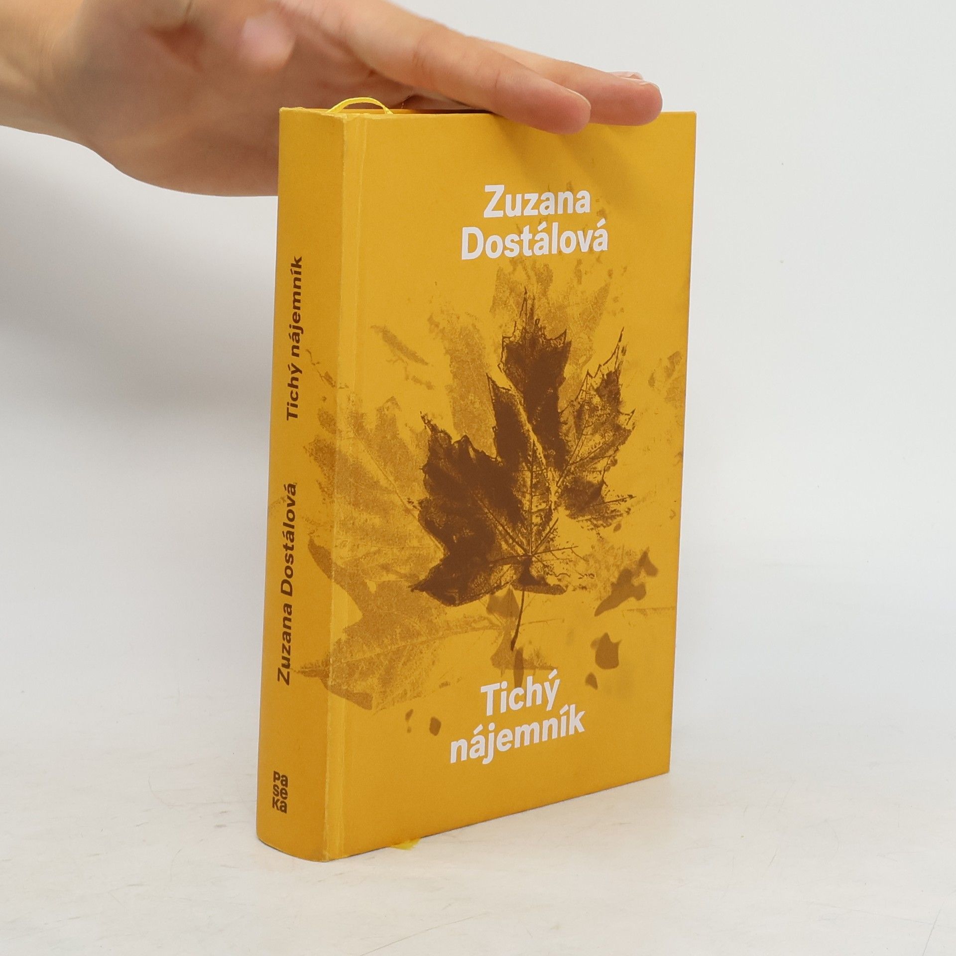 Zuzana Dostálová Tichý nájemník