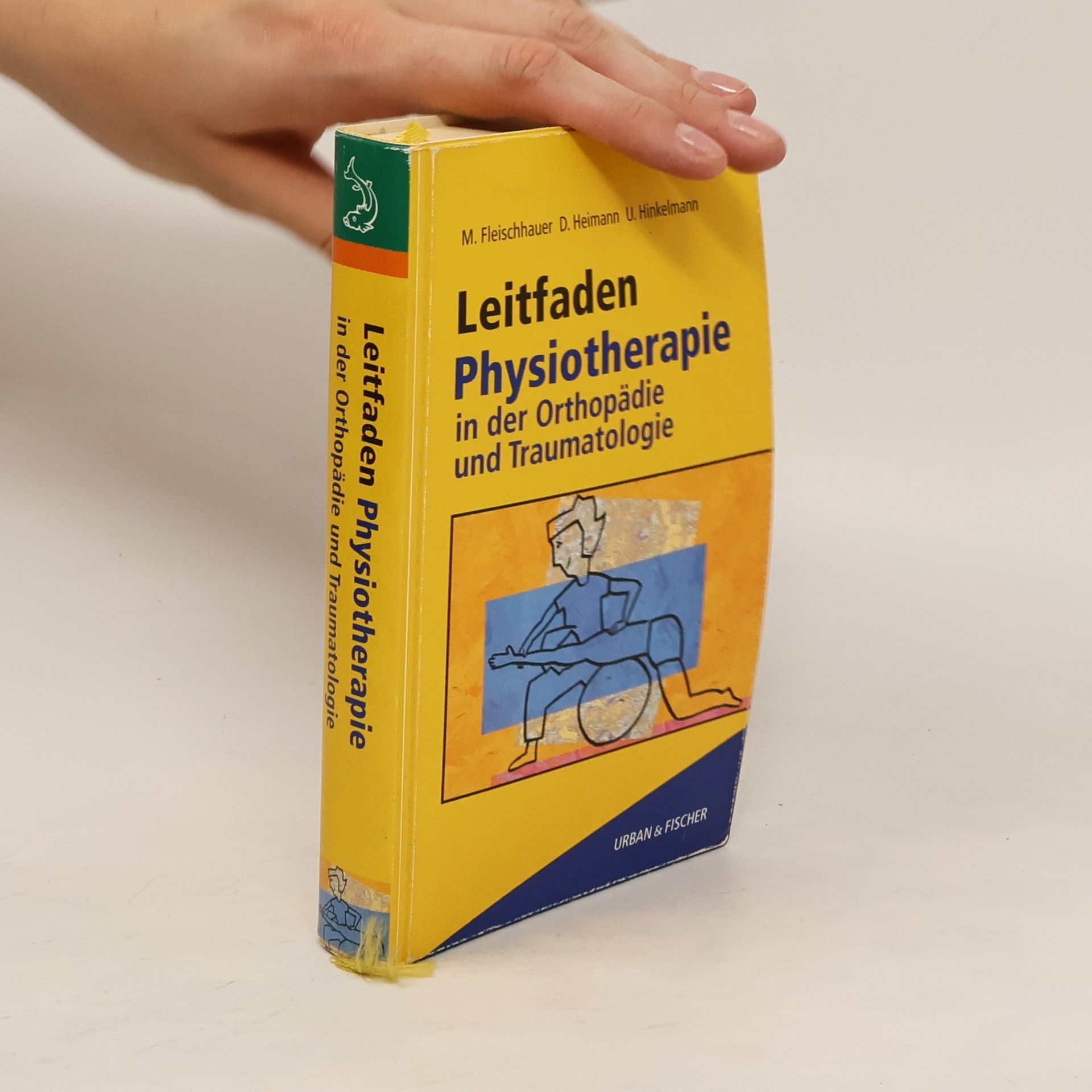Michael Fleischhauer Leitfaden Physiotherapie in der Orthopädie und Traumatologie