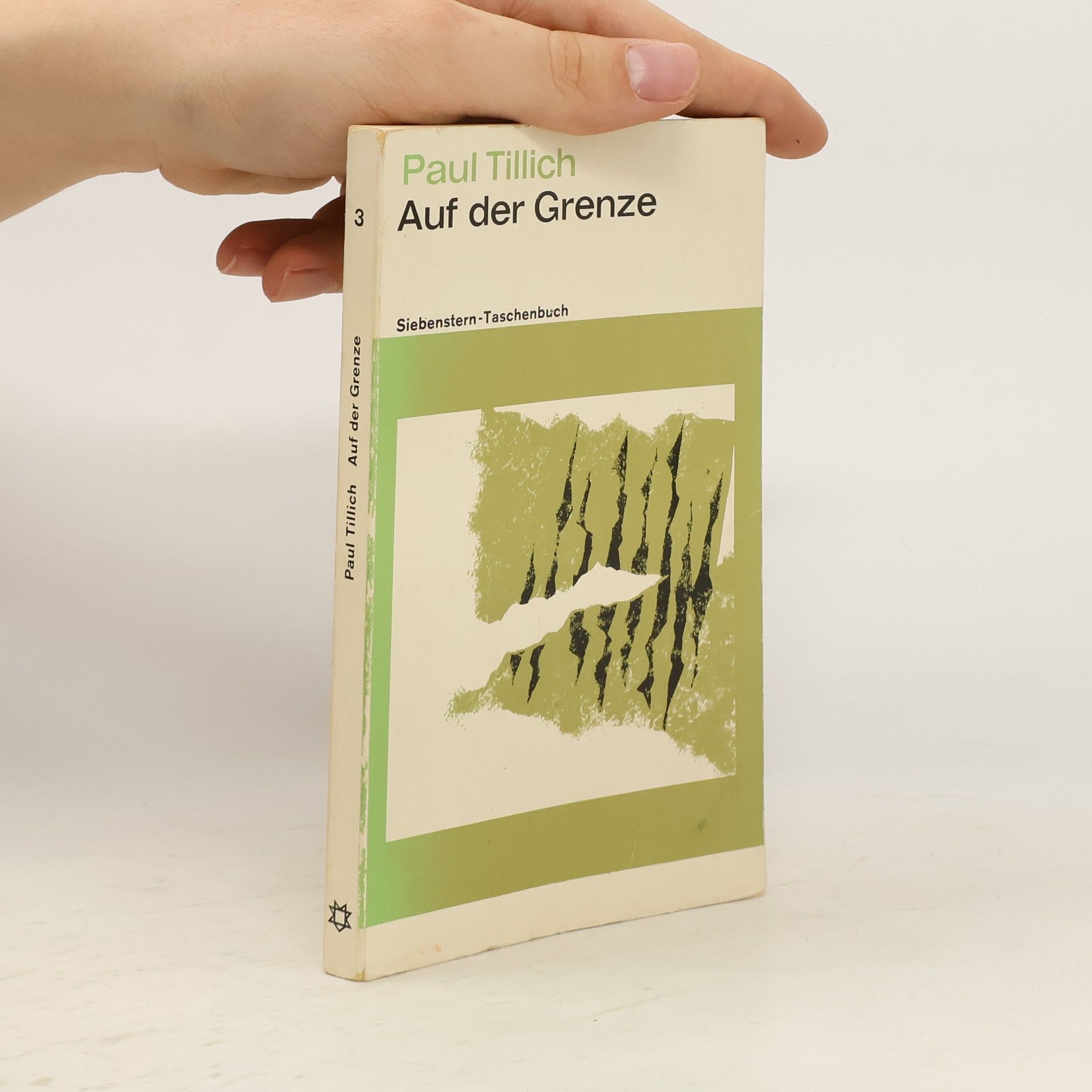 Paul Tillich Auf der Grenze