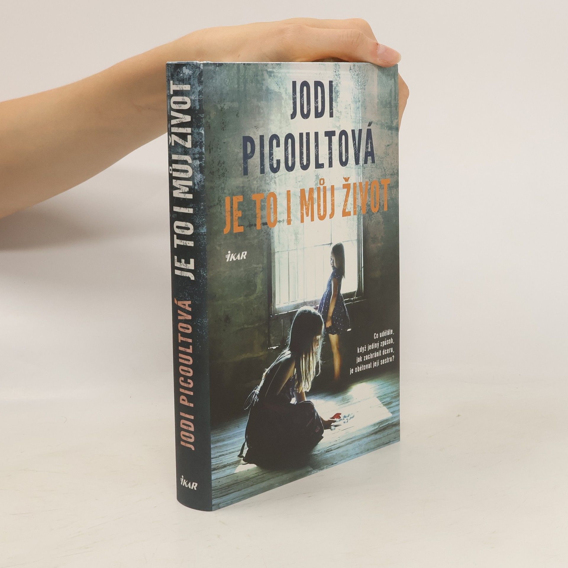 Jodi Picoult Je to i můj život