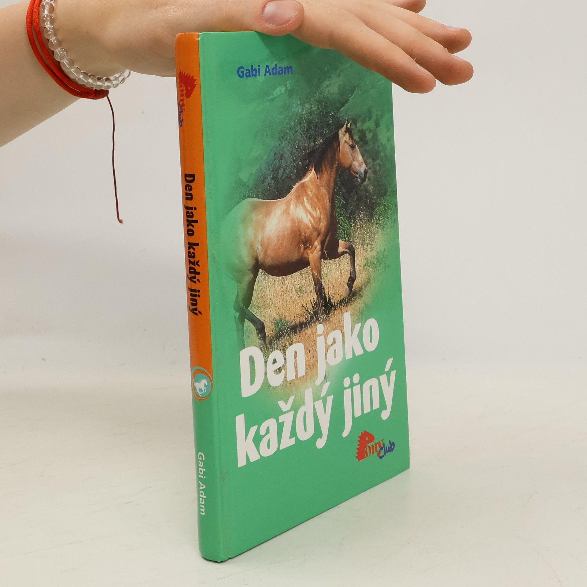 Gabi Adam Den jako každý jiný