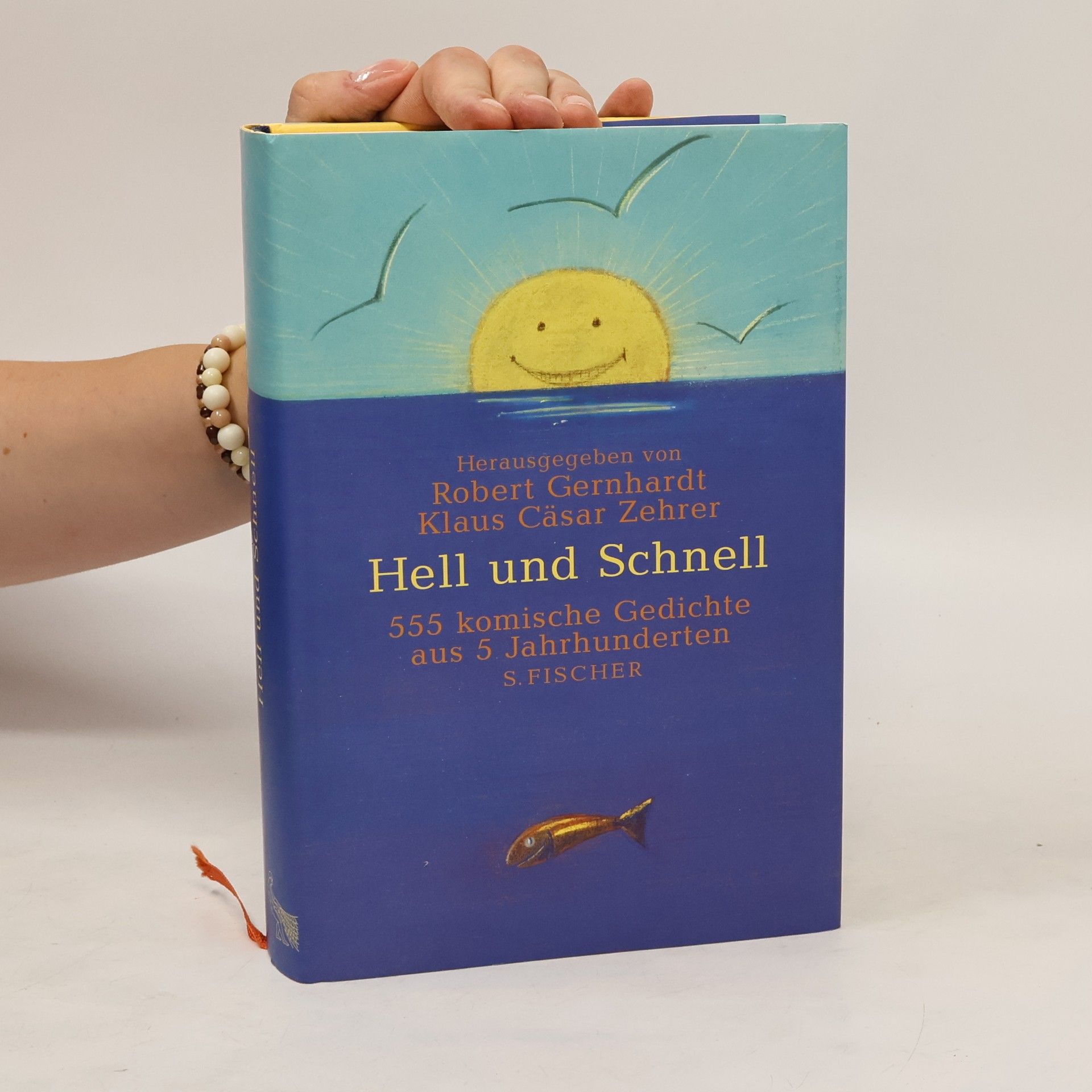 Robert Gernhardt Hell und schnell