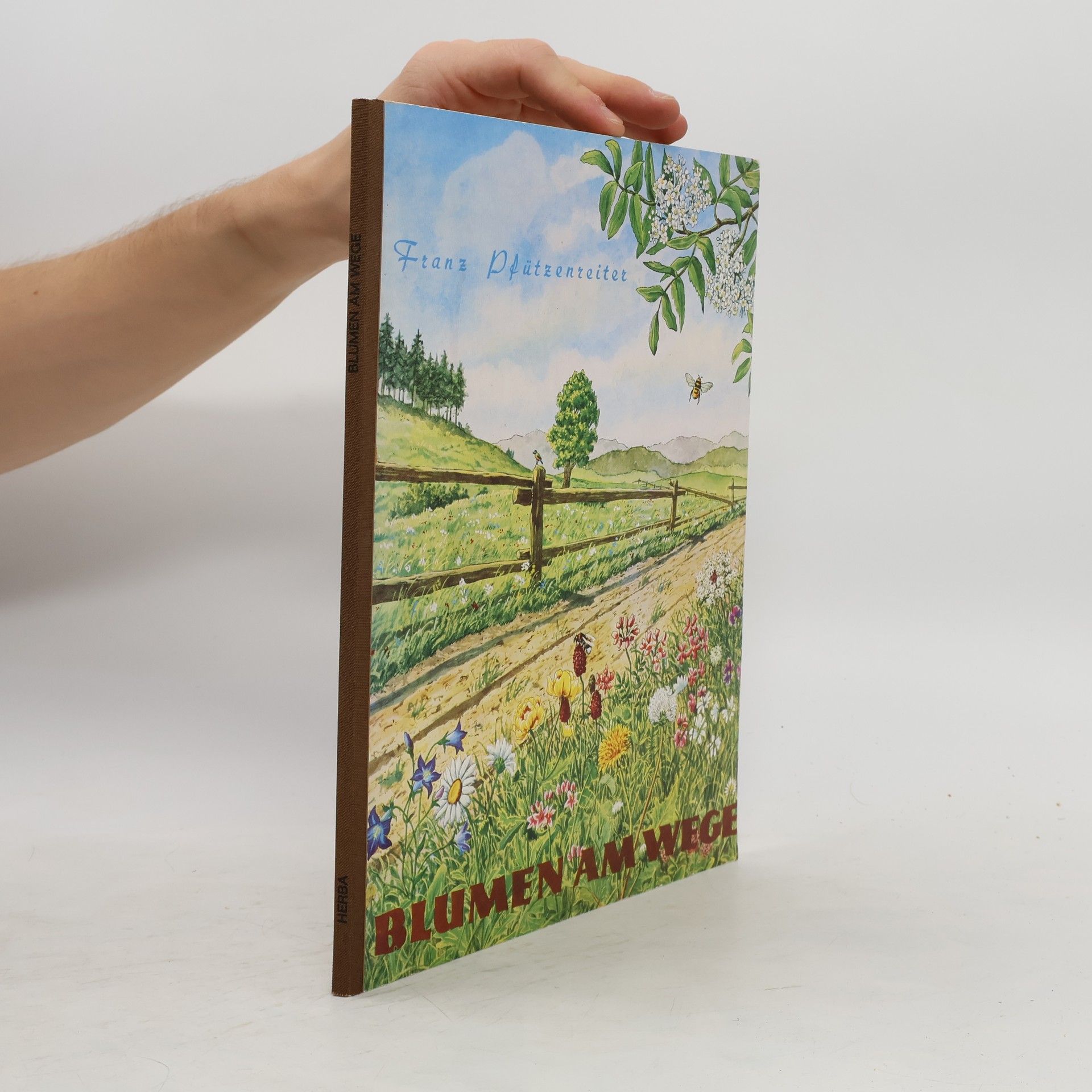 Franz Pfützenreiter Blumen am Wege