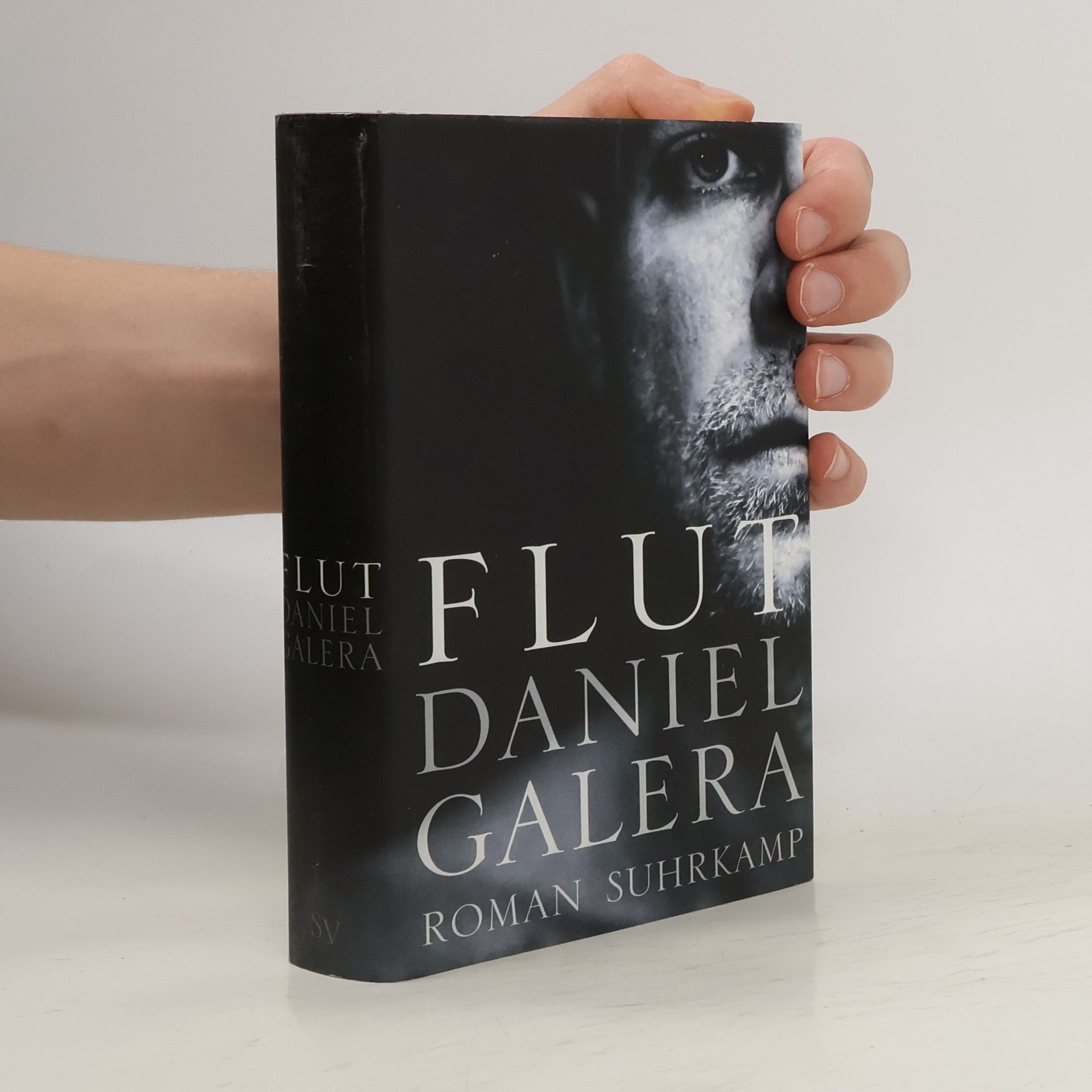 Daniel Galera Flut