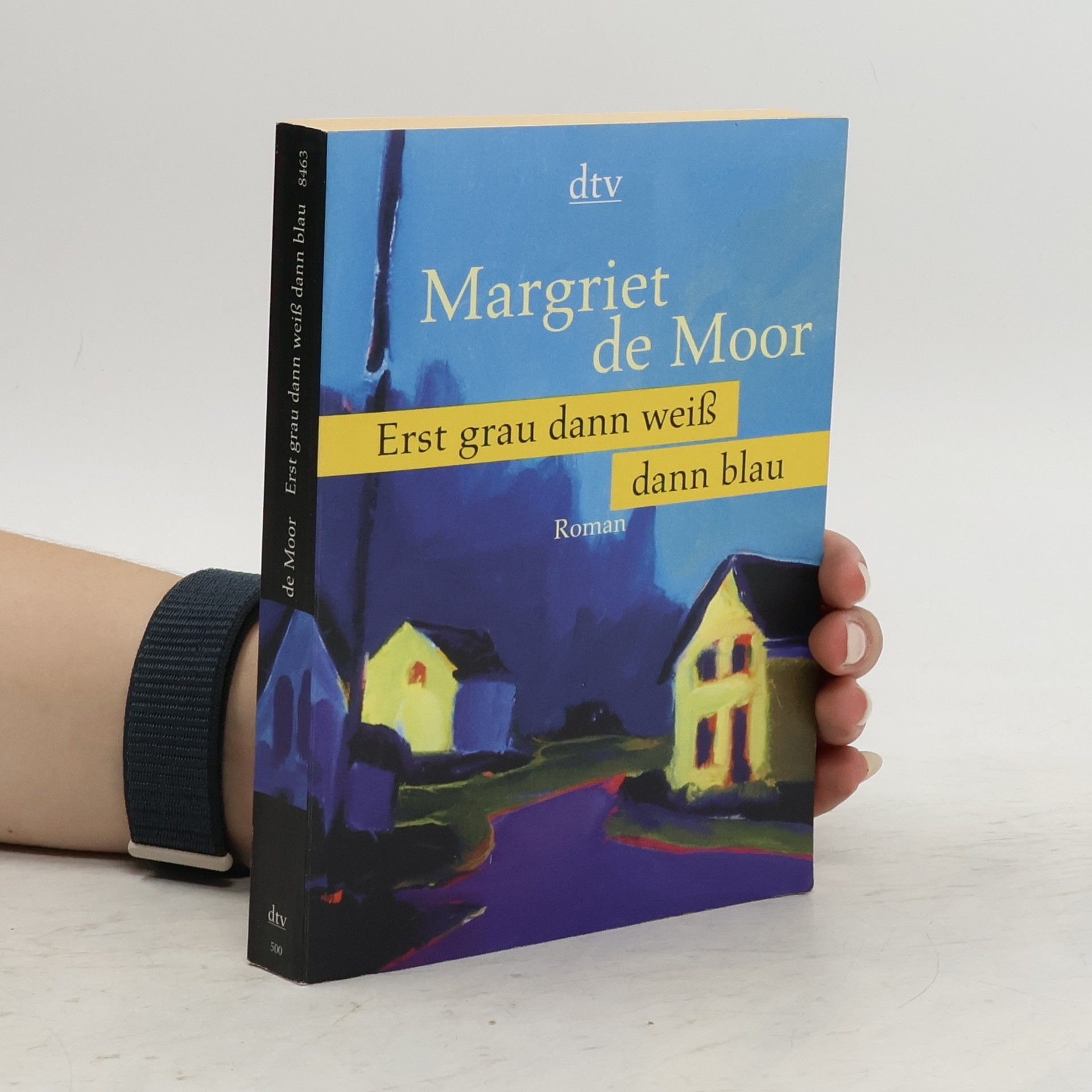 Margriet de Moor Erst grau dann weiß dann blau
