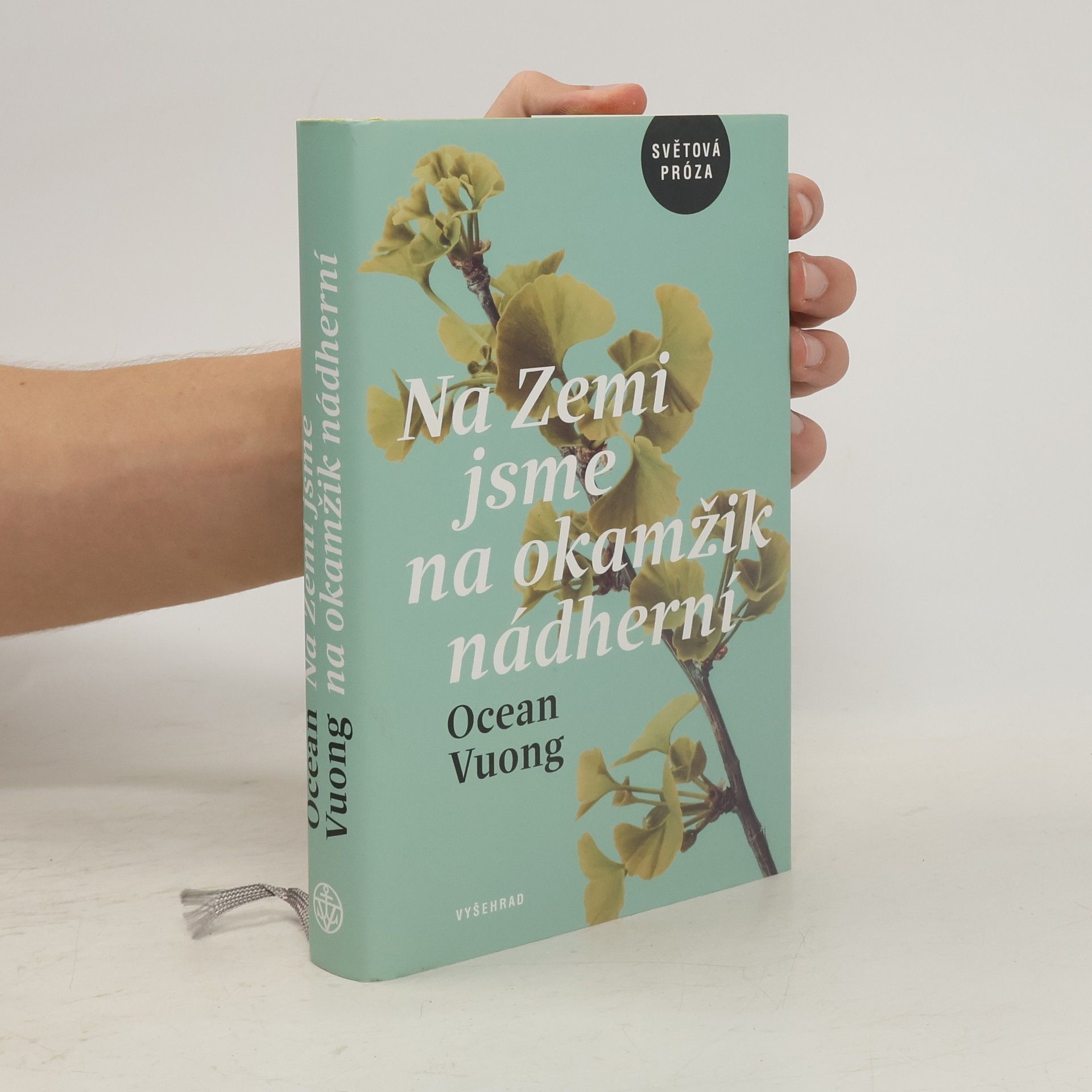 Ocean Vuong Na Zemi jsme na okamžik nádherní