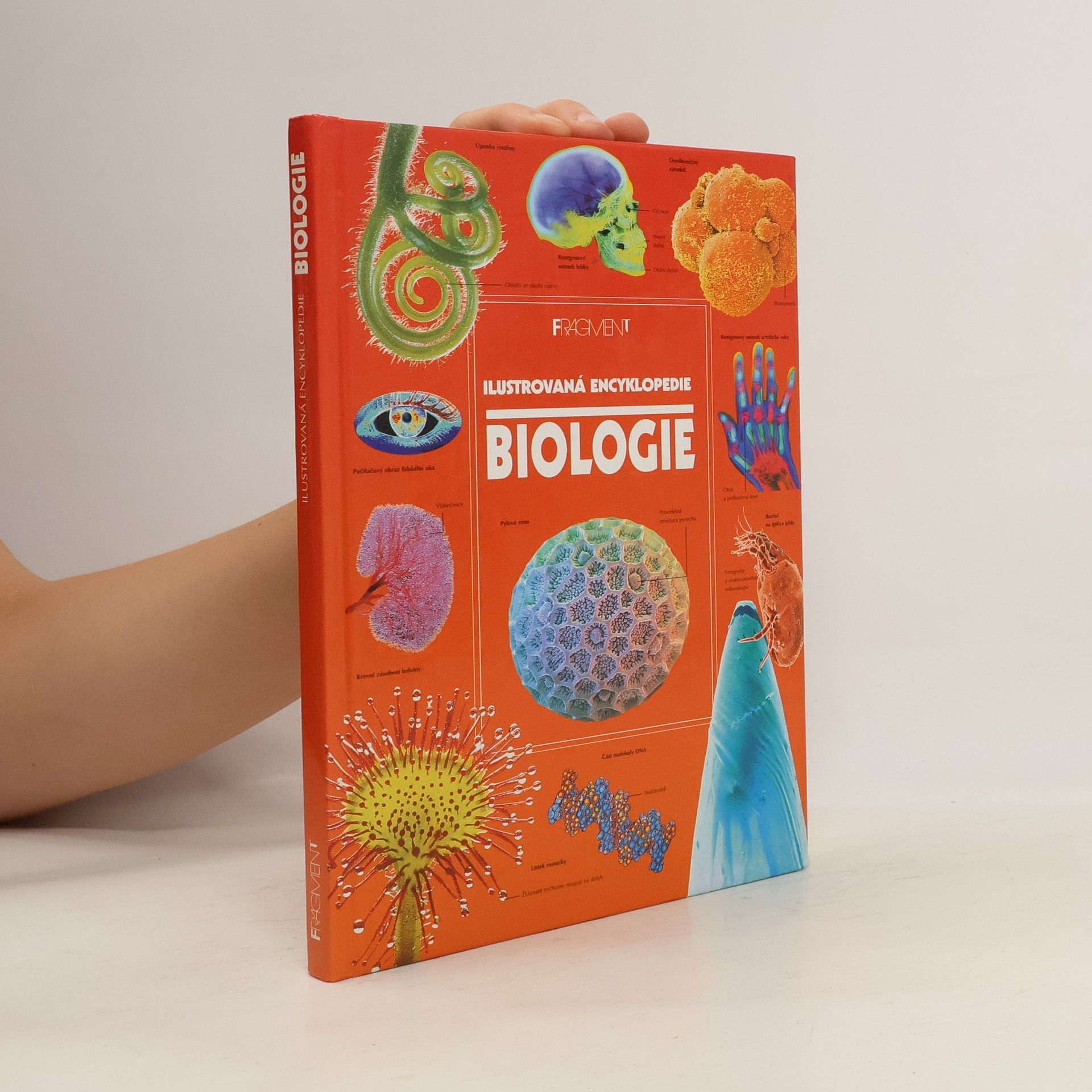 Corinne Stockley Biologie