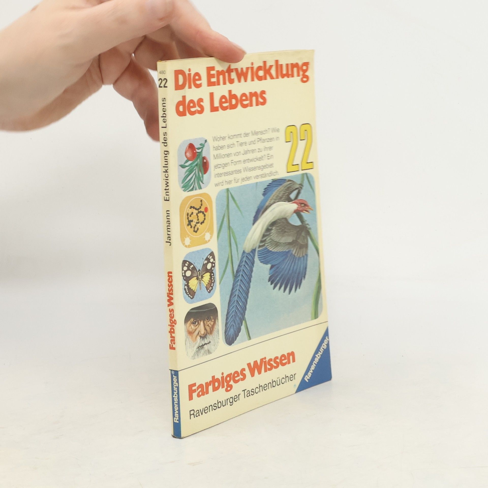 Catherine Jarman Die Entwicklung des Lebens 22