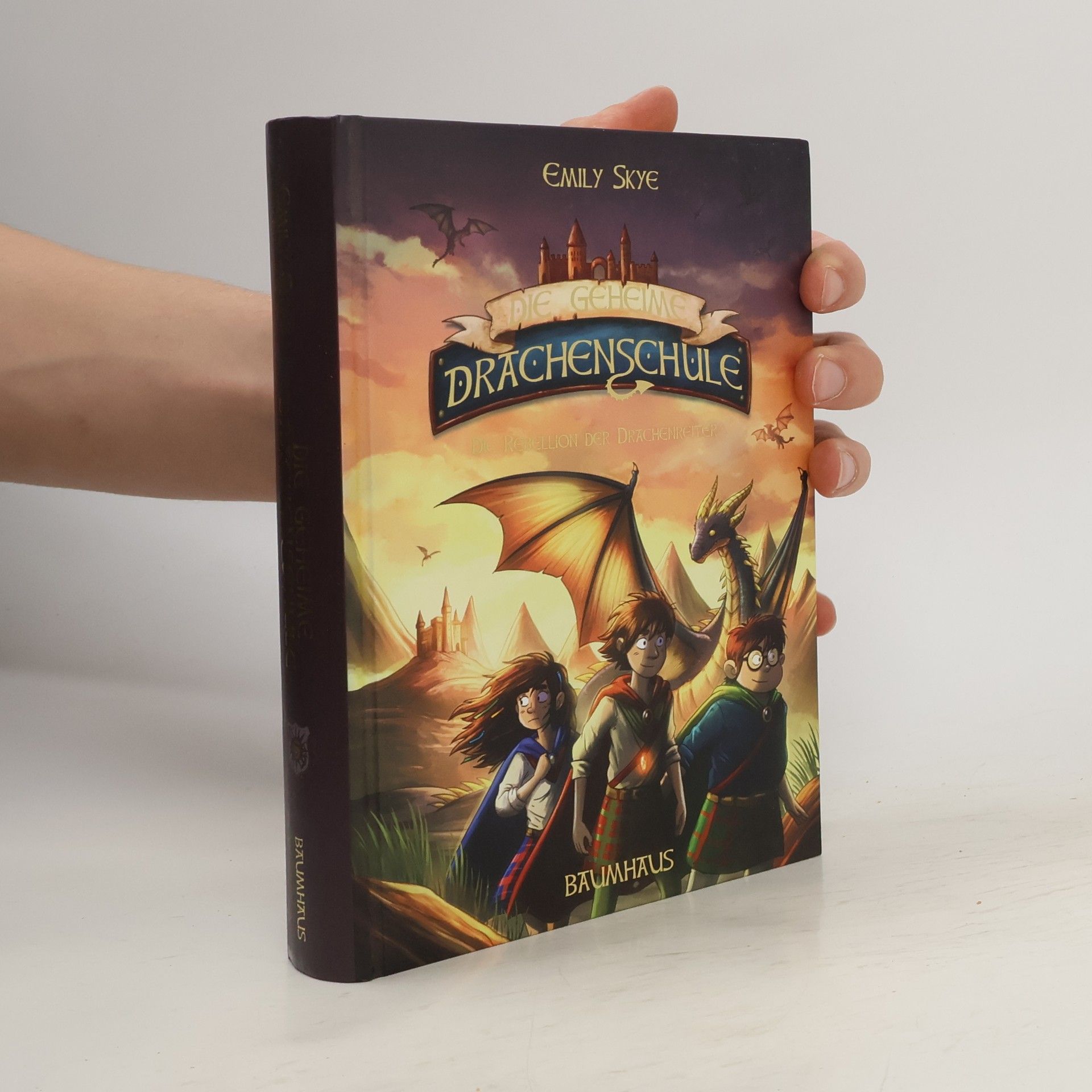 Emily Skye Die geheime Drachenschule - Die Rebellion der Drachenreiter