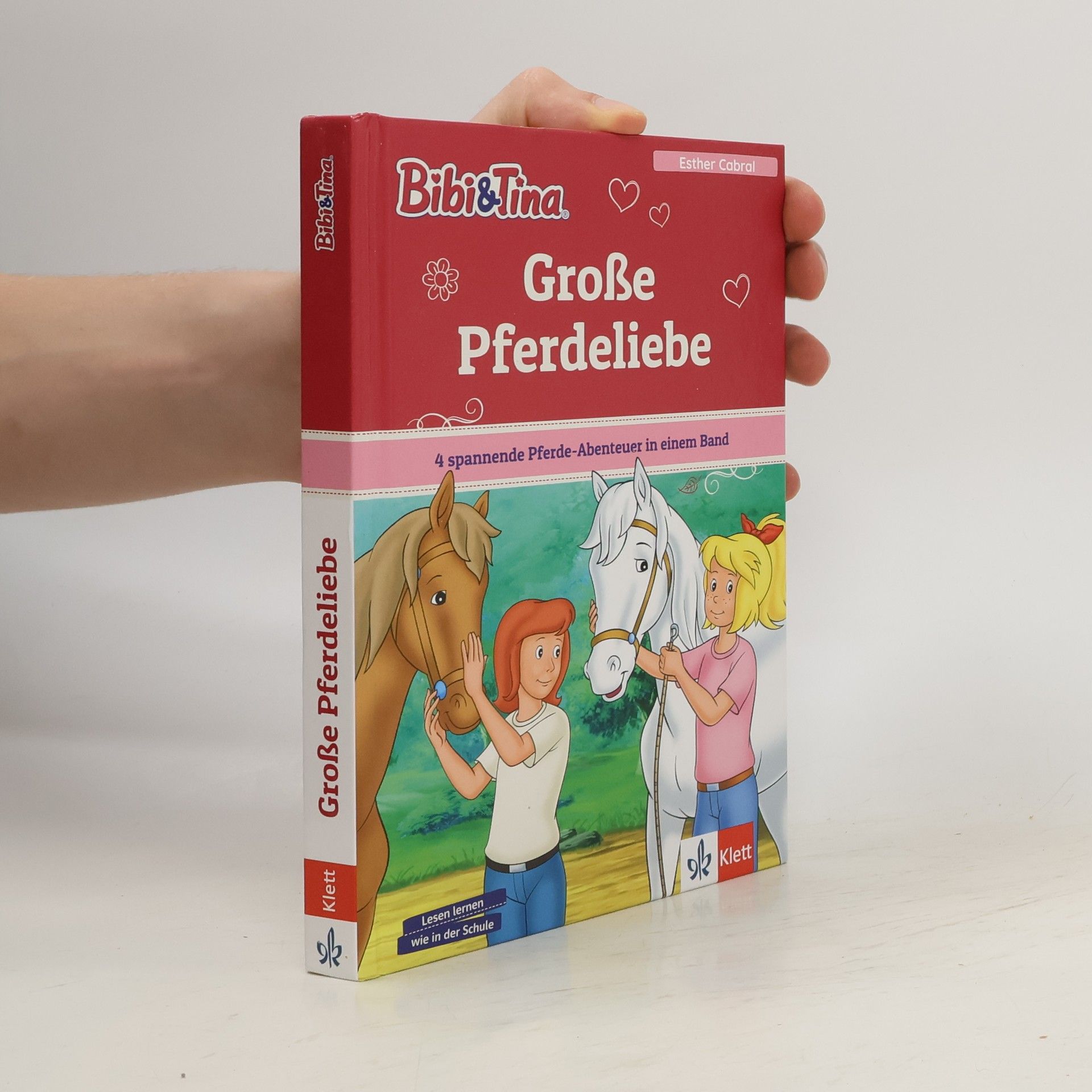 kolektiv Bibi & Tina: Große Pferdeliebe