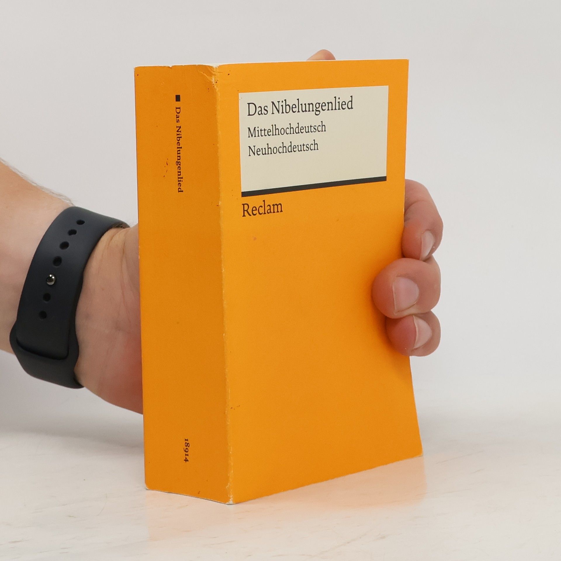 Siegfried Grosse Das Nibelungenlied