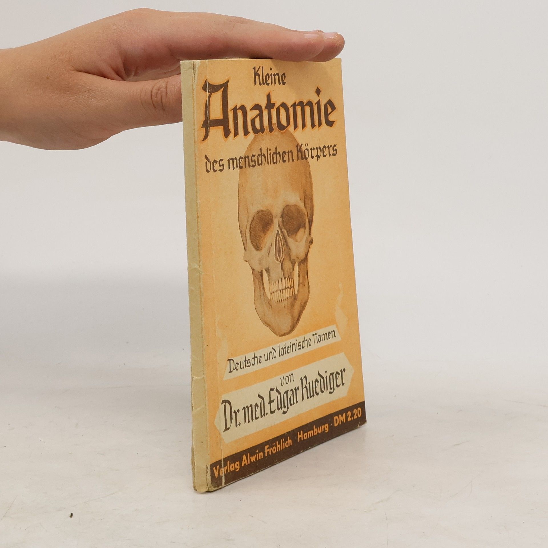 Edgar Ruediger Kleine Anatomie des menschlichen Körpers