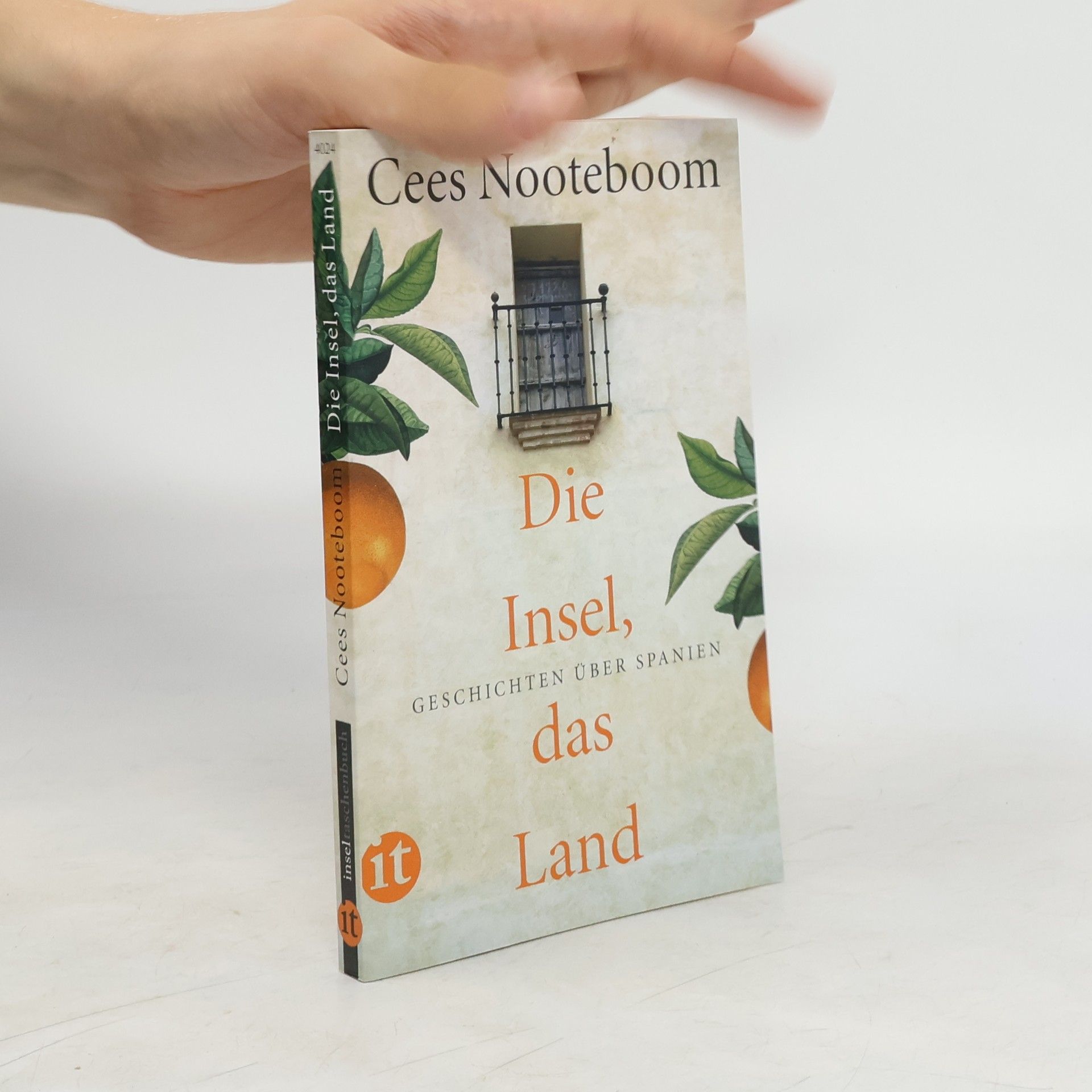 Cees Nooteboom Die Insel, das Land