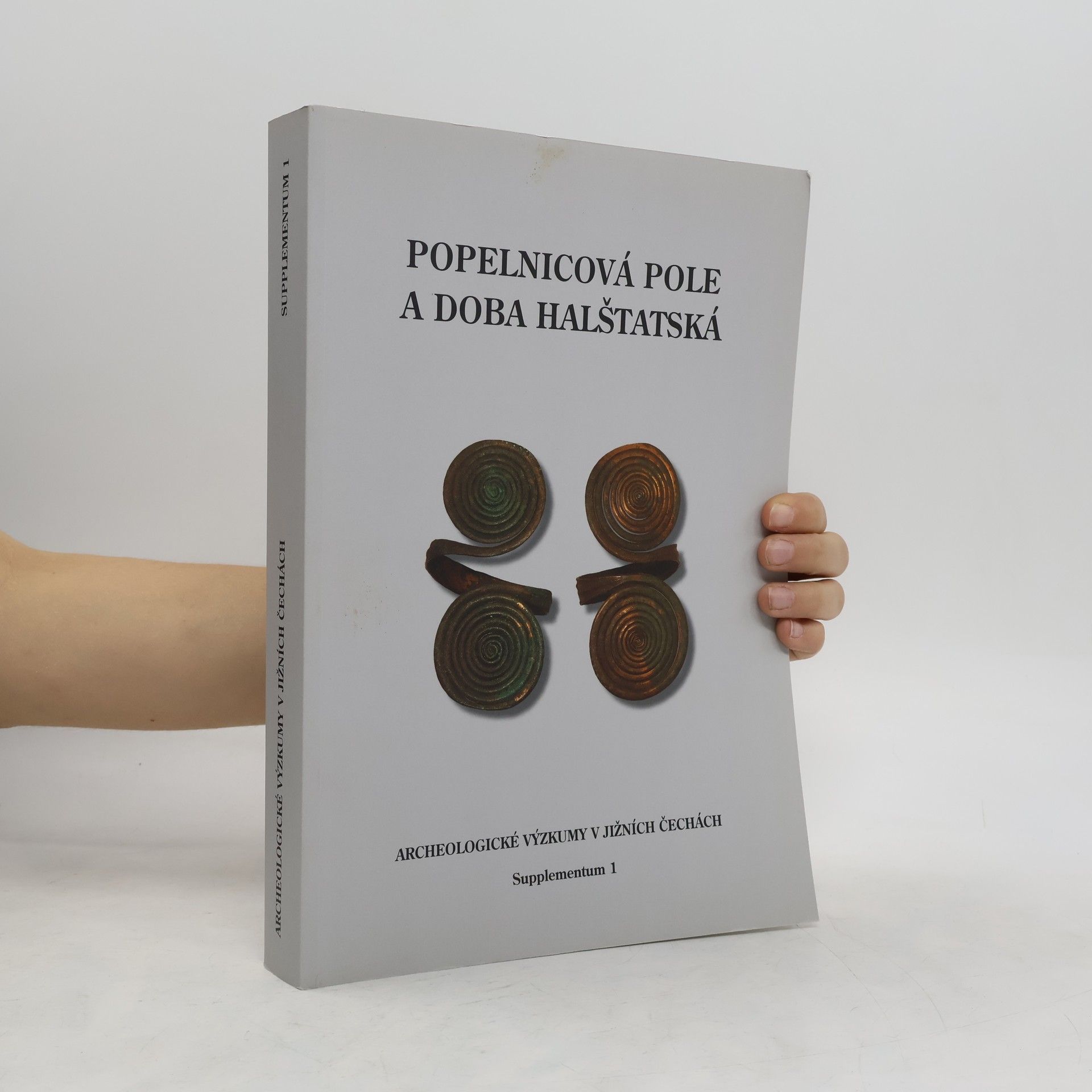 Autorenkollektiv Popelnicová pole a doba halštatská