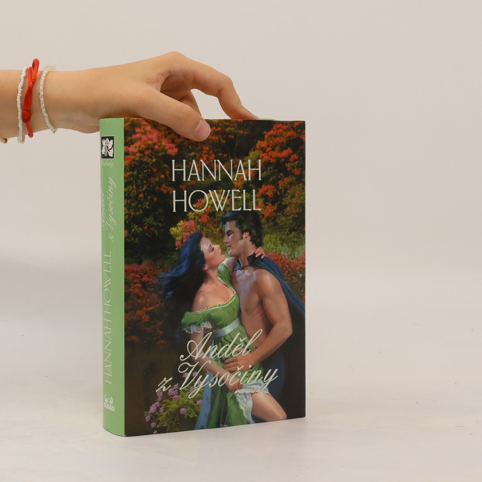 Hannah Howell Anděl z Vysočiny
