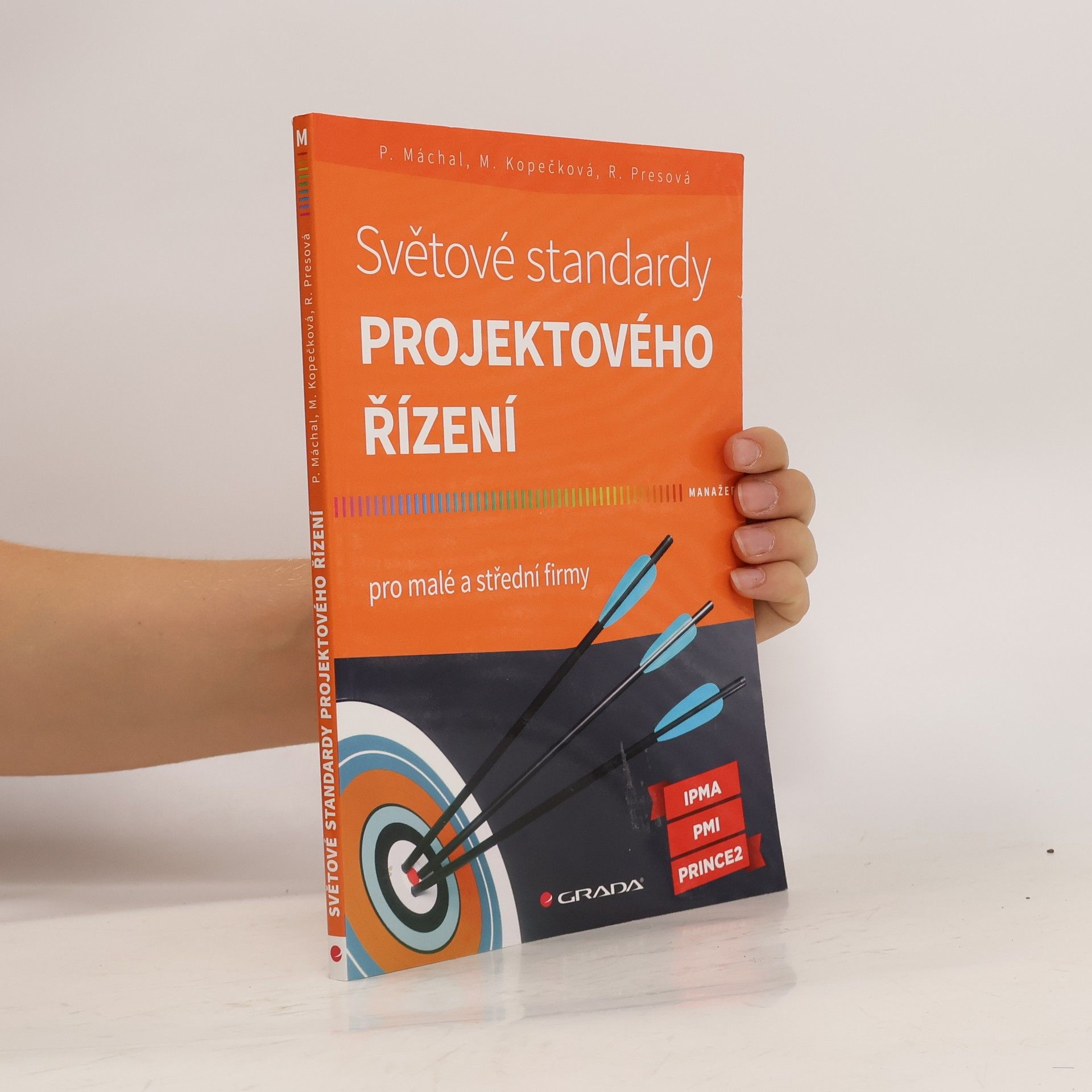 Pavel Máchal Světové standardy projektového řízení